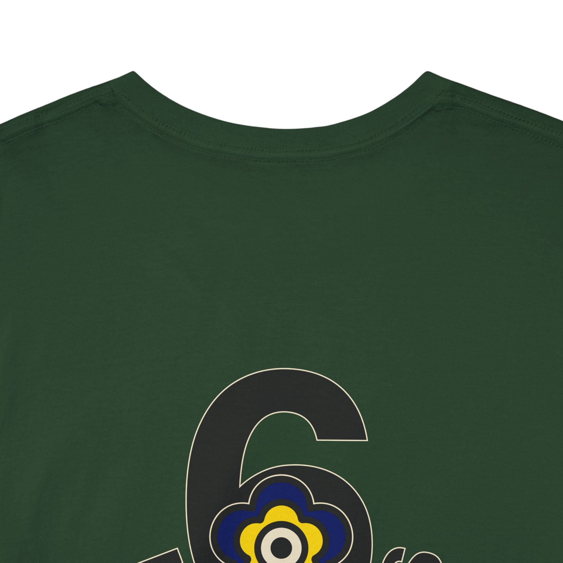 P🌺🌺P2Poppies 6 Months Sober – Motivational Recovery T-Shirt