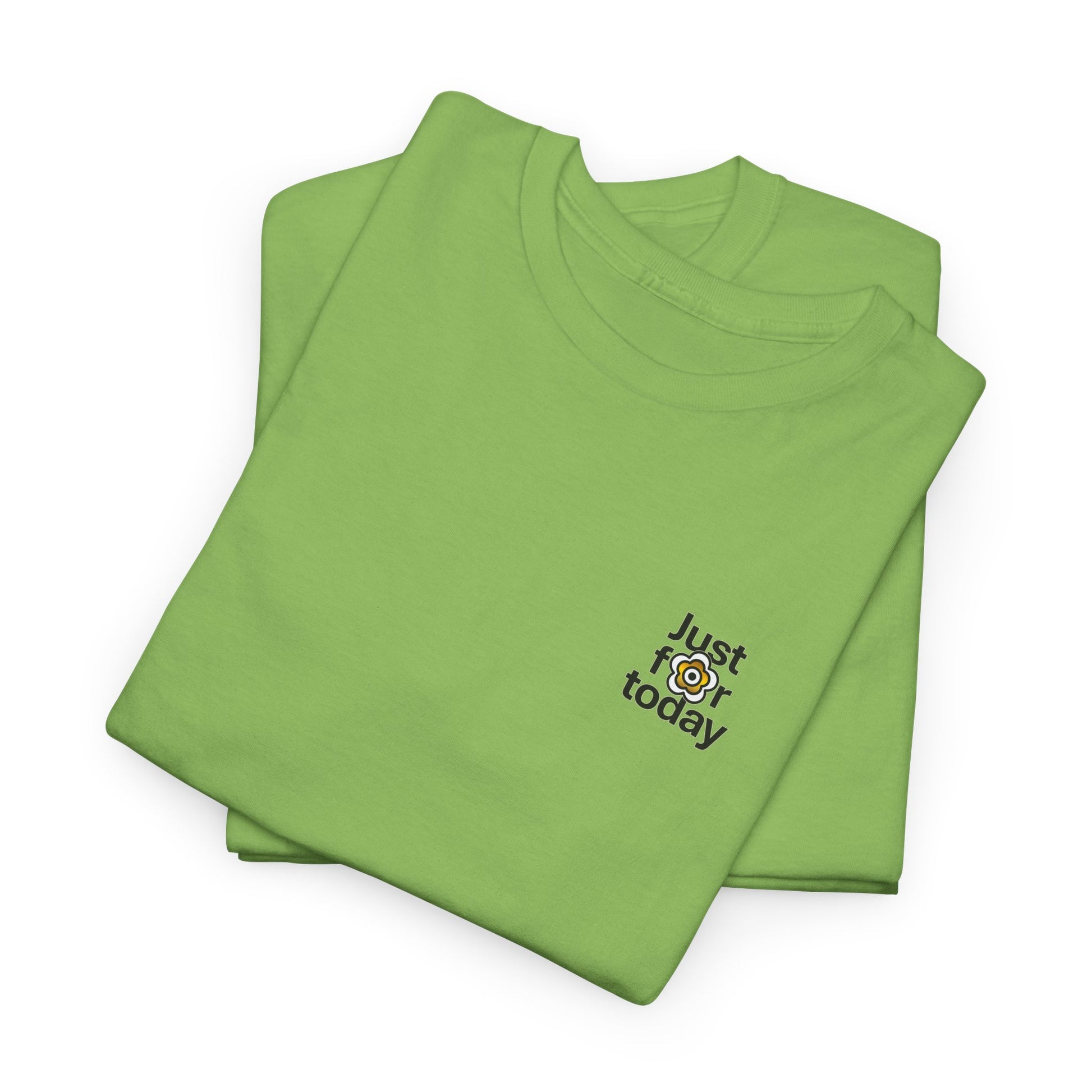 P🌺🌺P2Poppies Just for Today – Motivational Recovery T-Shirt