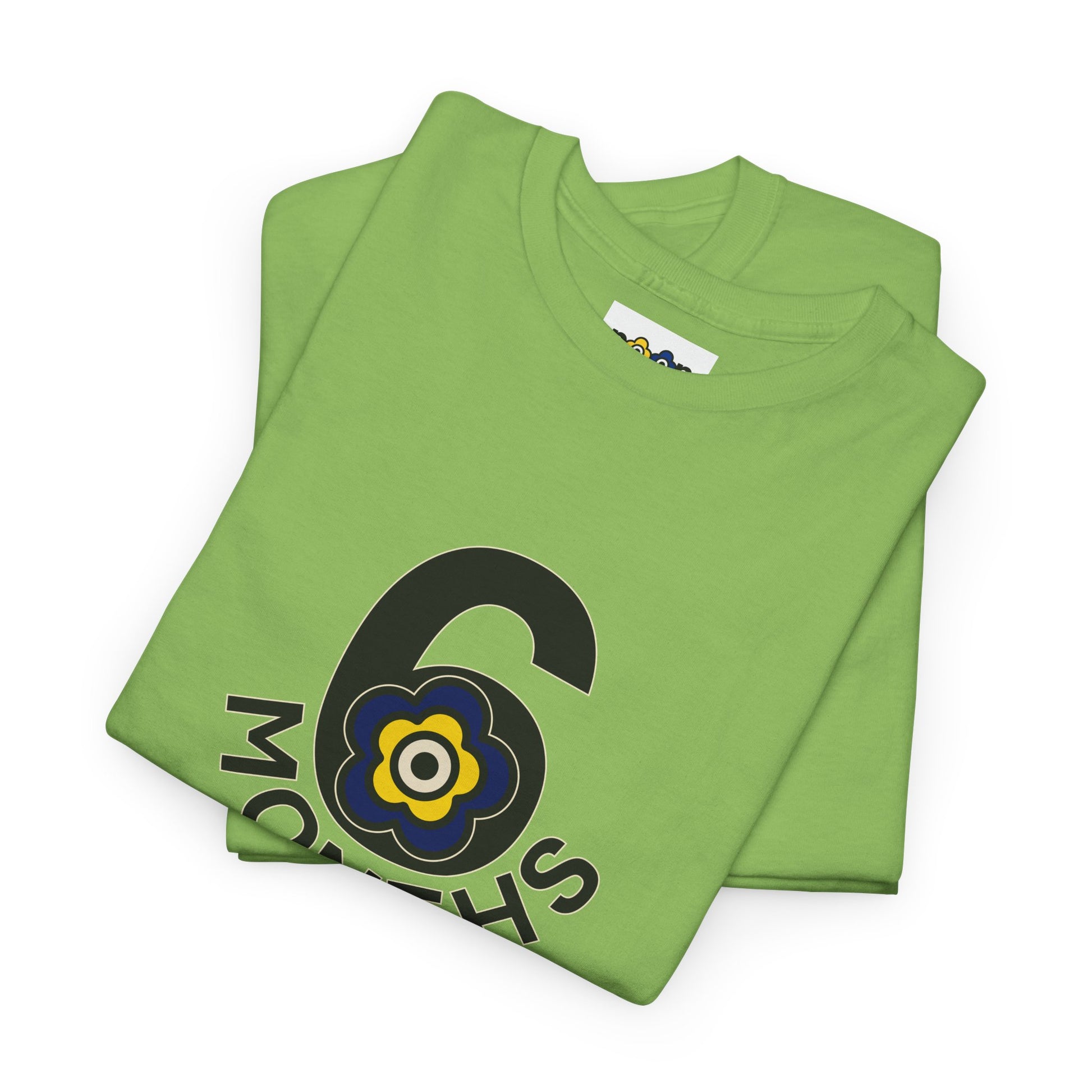 P🌺🌺P2Poppies 6 Months Sober – Motivational Recovery T-Shirt