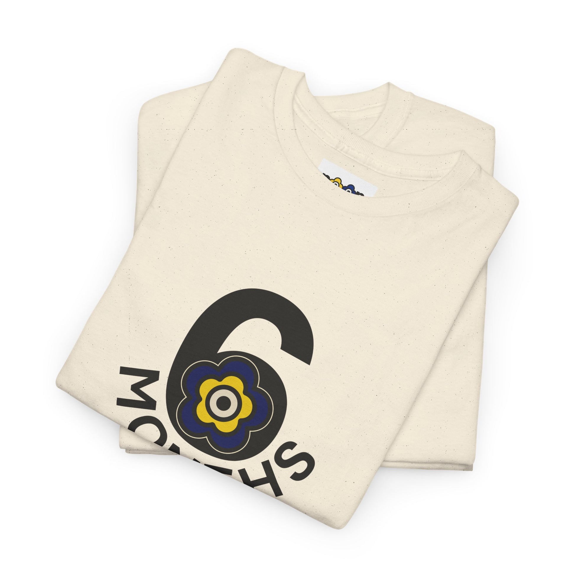 P🌺🌺P2Poppies 6 Months Sober – Motivational Recovery T-Shirt