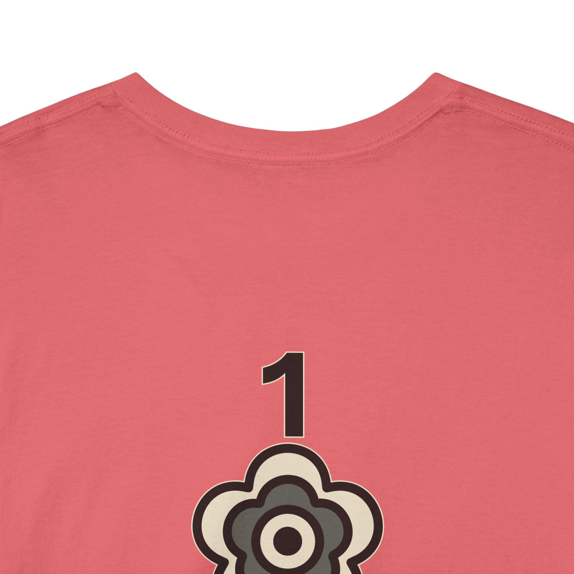 P🌺🌺P2Poppies 1 Year Sober – Motivational Recovery T-Shirt