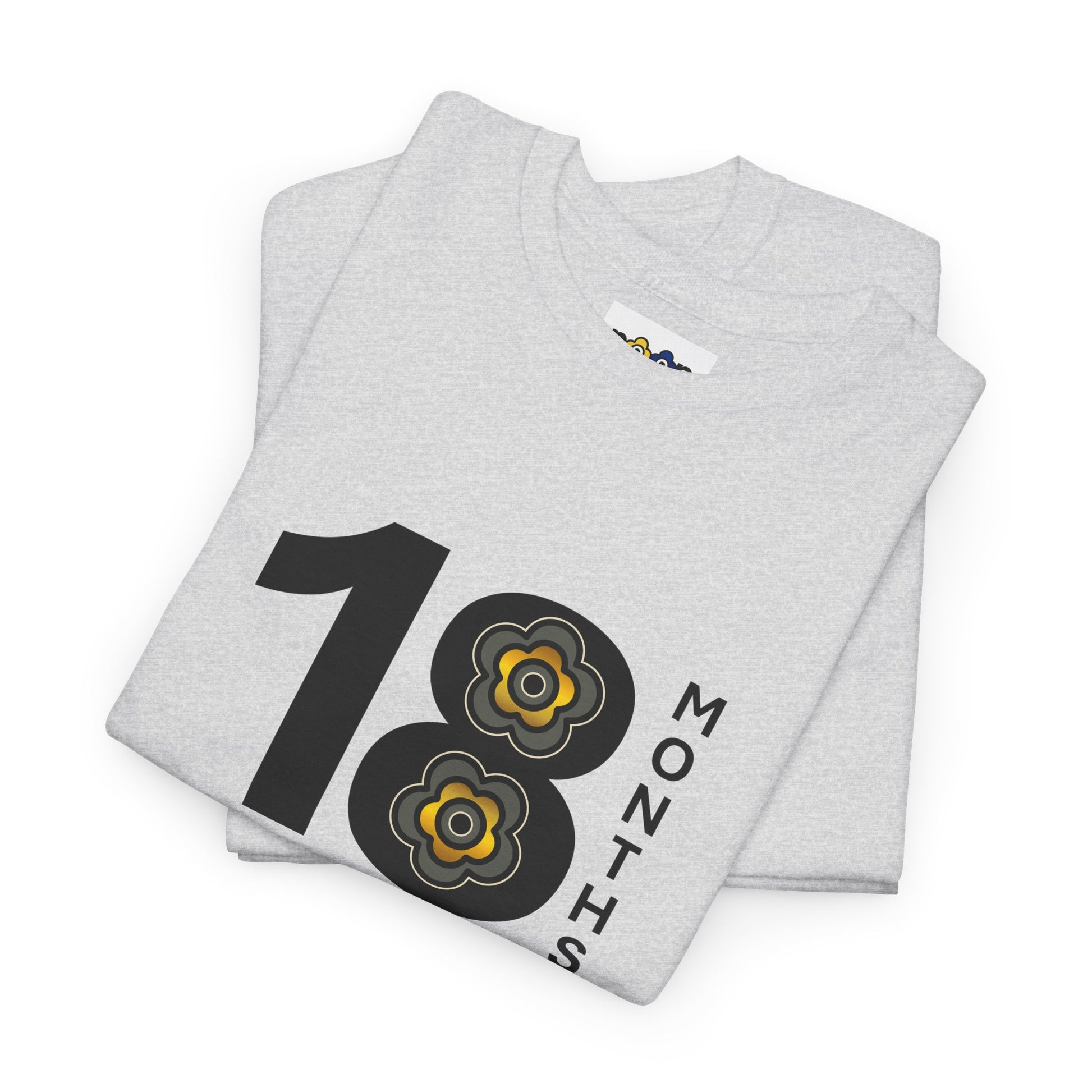 P🌺🌺P2Poppies 18 Months Sober – Motivational Recovery T-Shirt