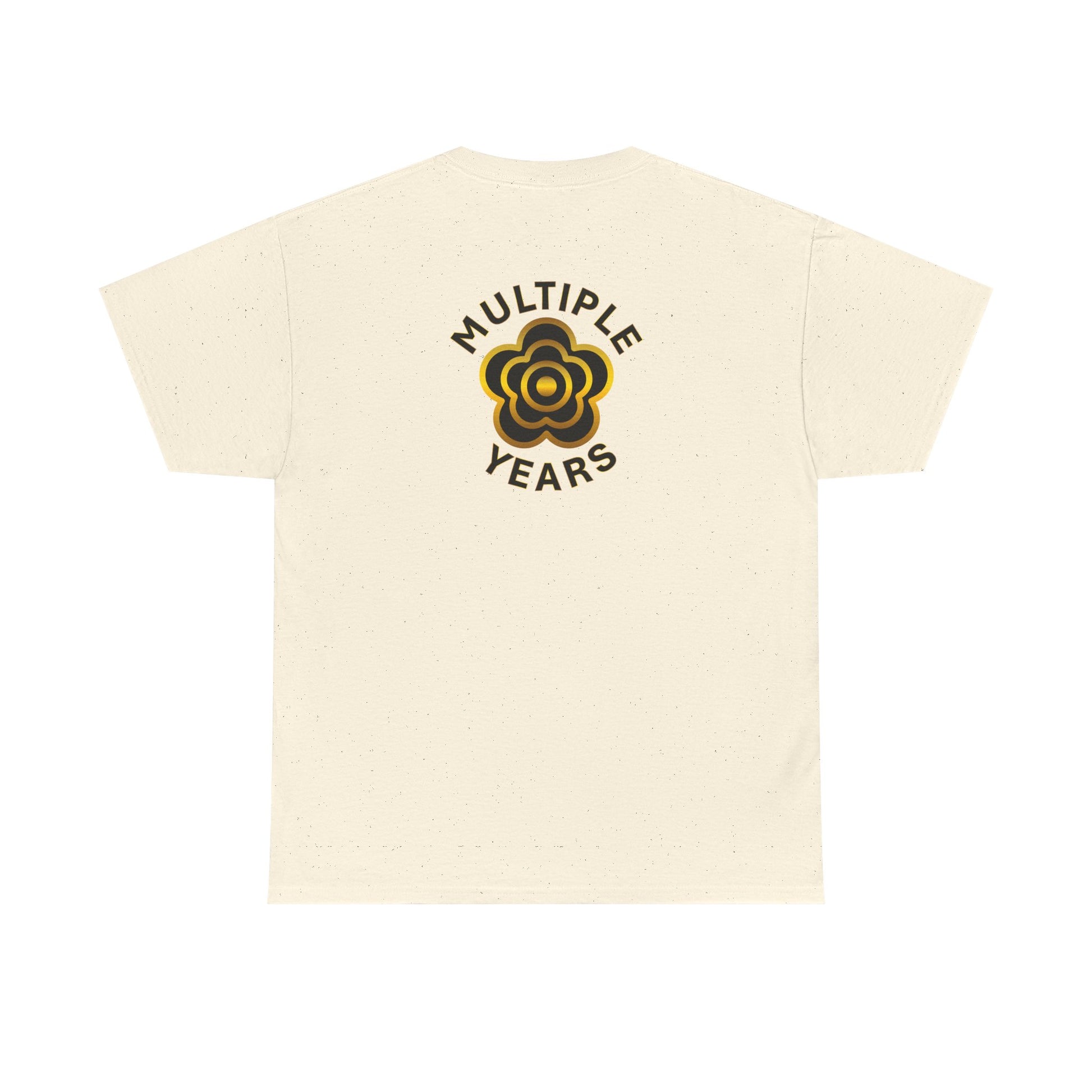 P🌺🌺P2Poppies Multiple Years Sober – Motivational Recovery T-Shirt