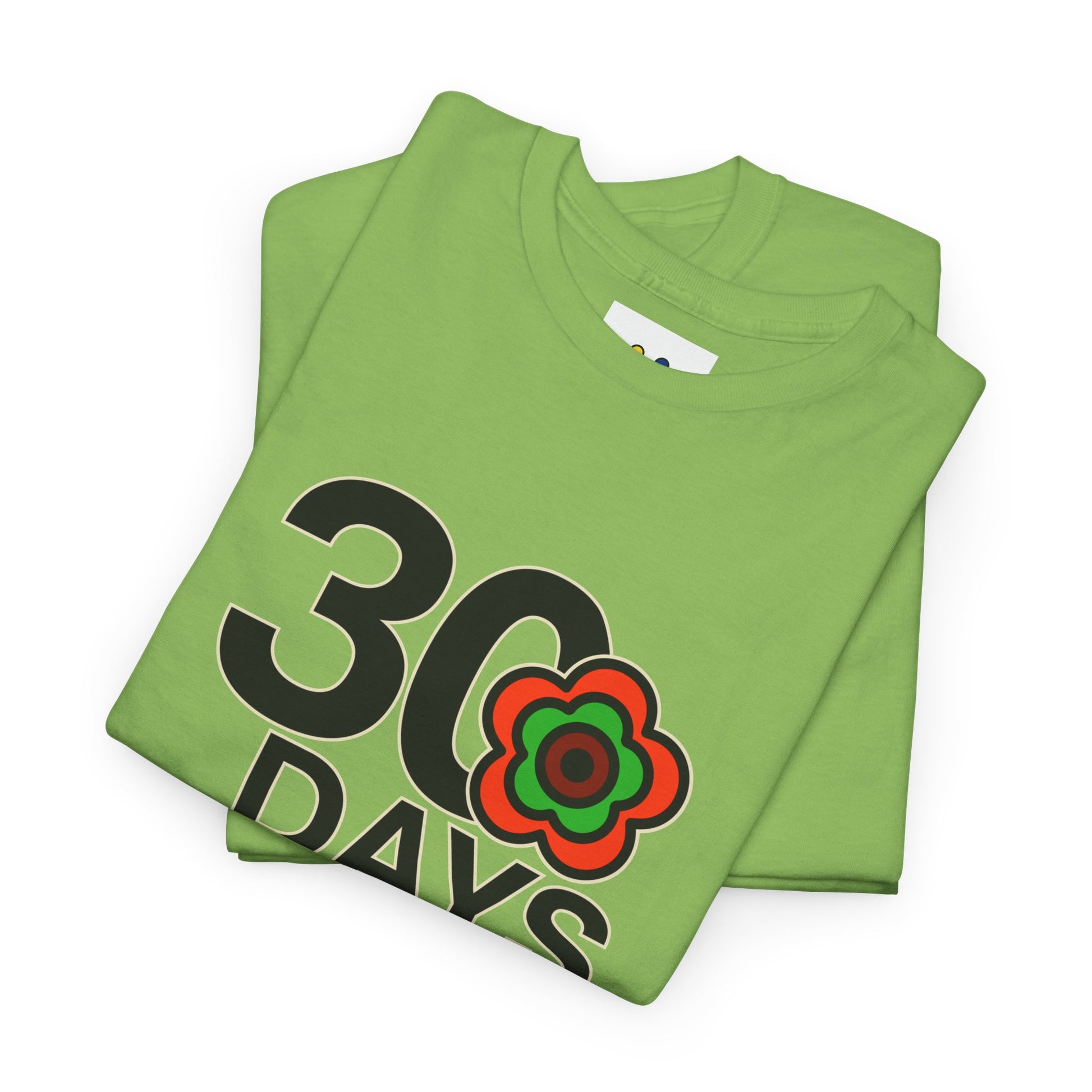 P🌺🌺P2Poppies 30 Days Sober – Motivational Recovery T-Shirt