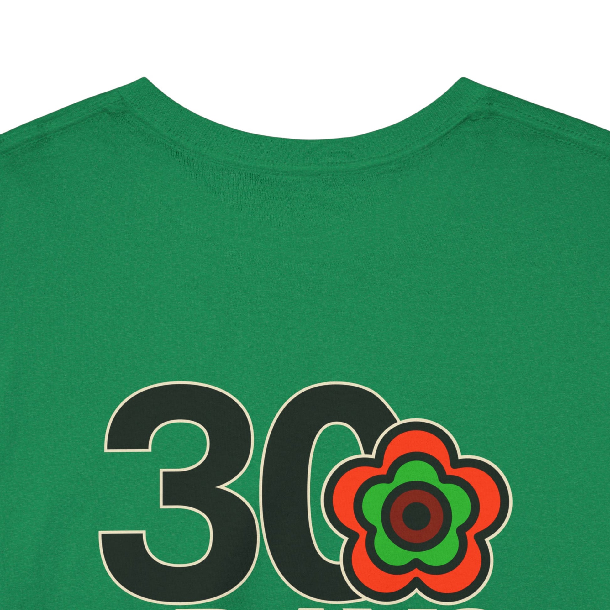 P🌺🌺P2Poppies 30 Days Sober – Motivational Recovery T-Shirt