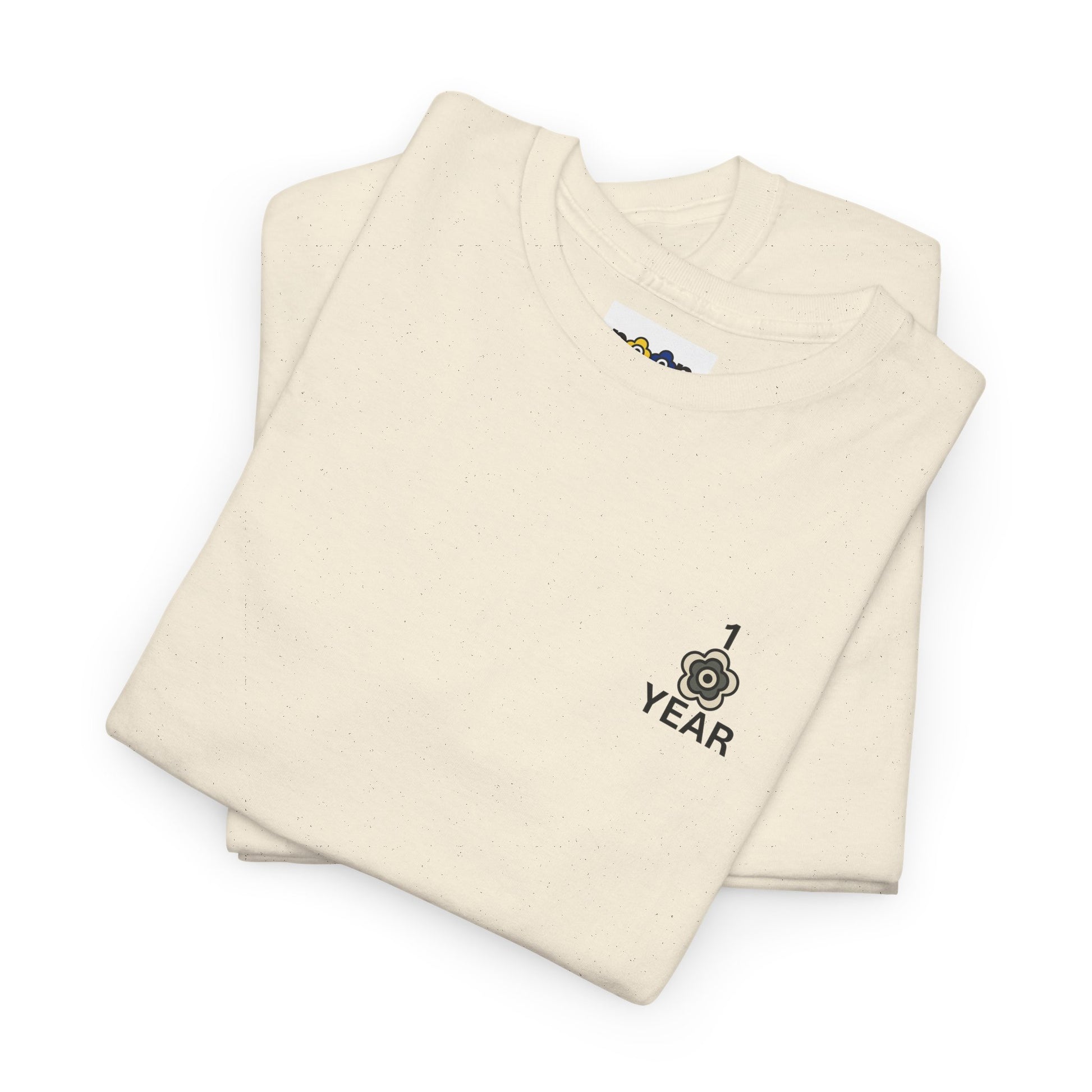 P🌺🌺P2Poppies 1 Year Sober – Motivational Recovery T-Shirt