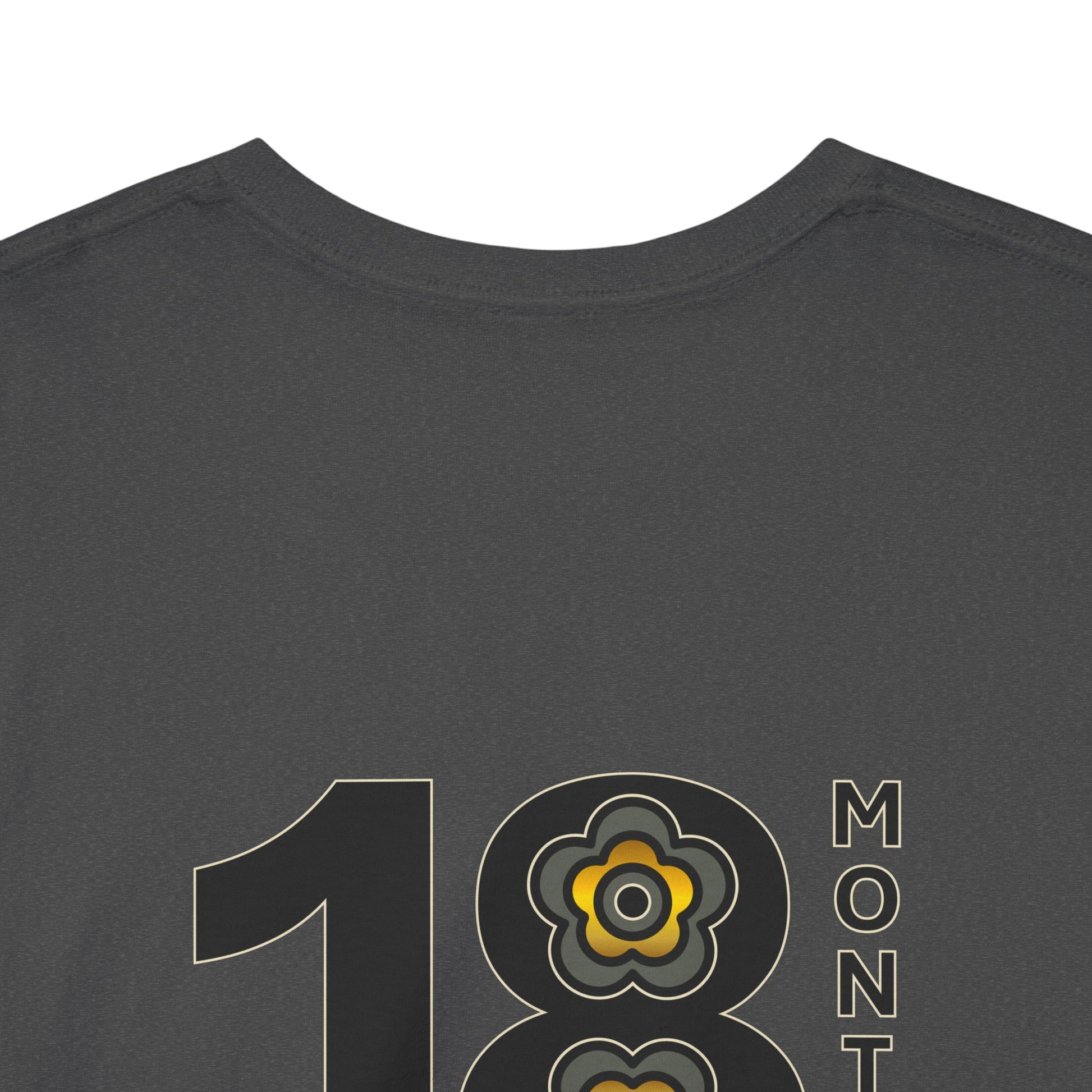 P🌺🌺P2Poppies 18 Months Sober – Motivational Recovery T-Shirt