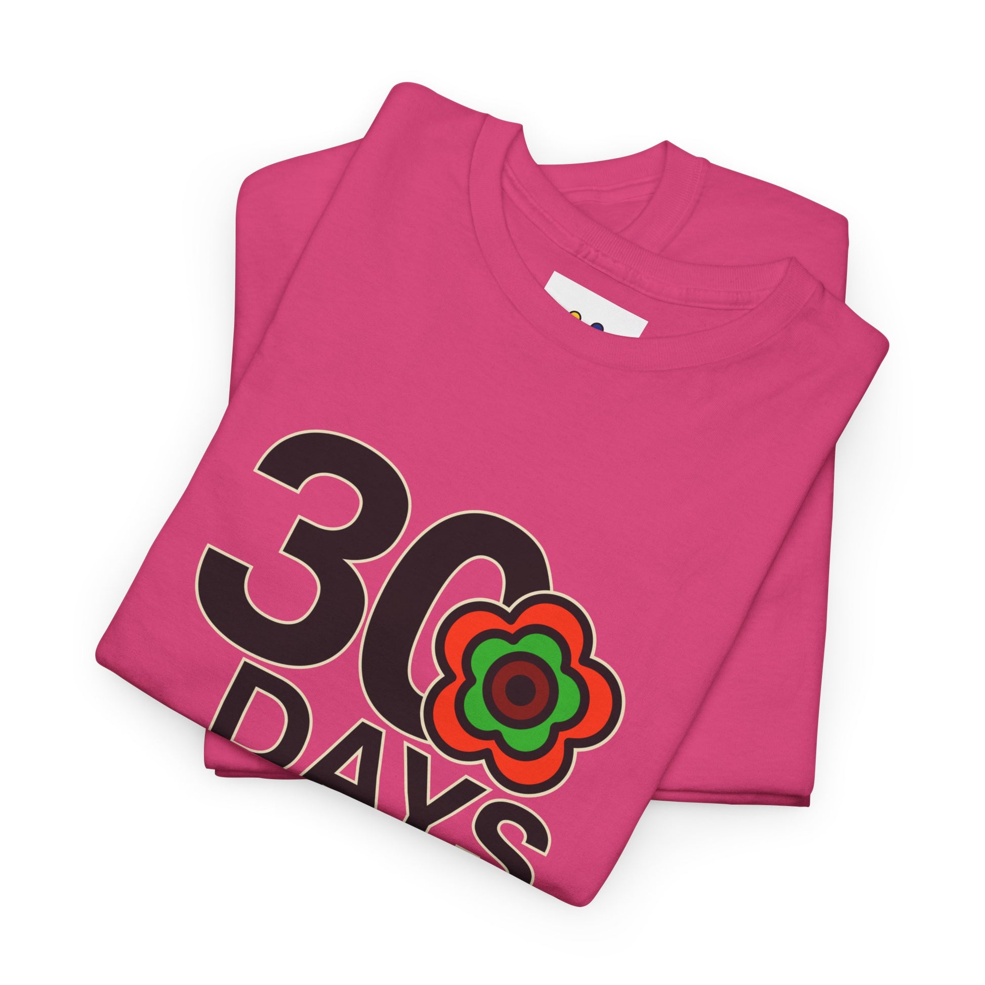 P🌺🌺P2Poppies 30 Days Sober – Motivational Recovery T-Shirt