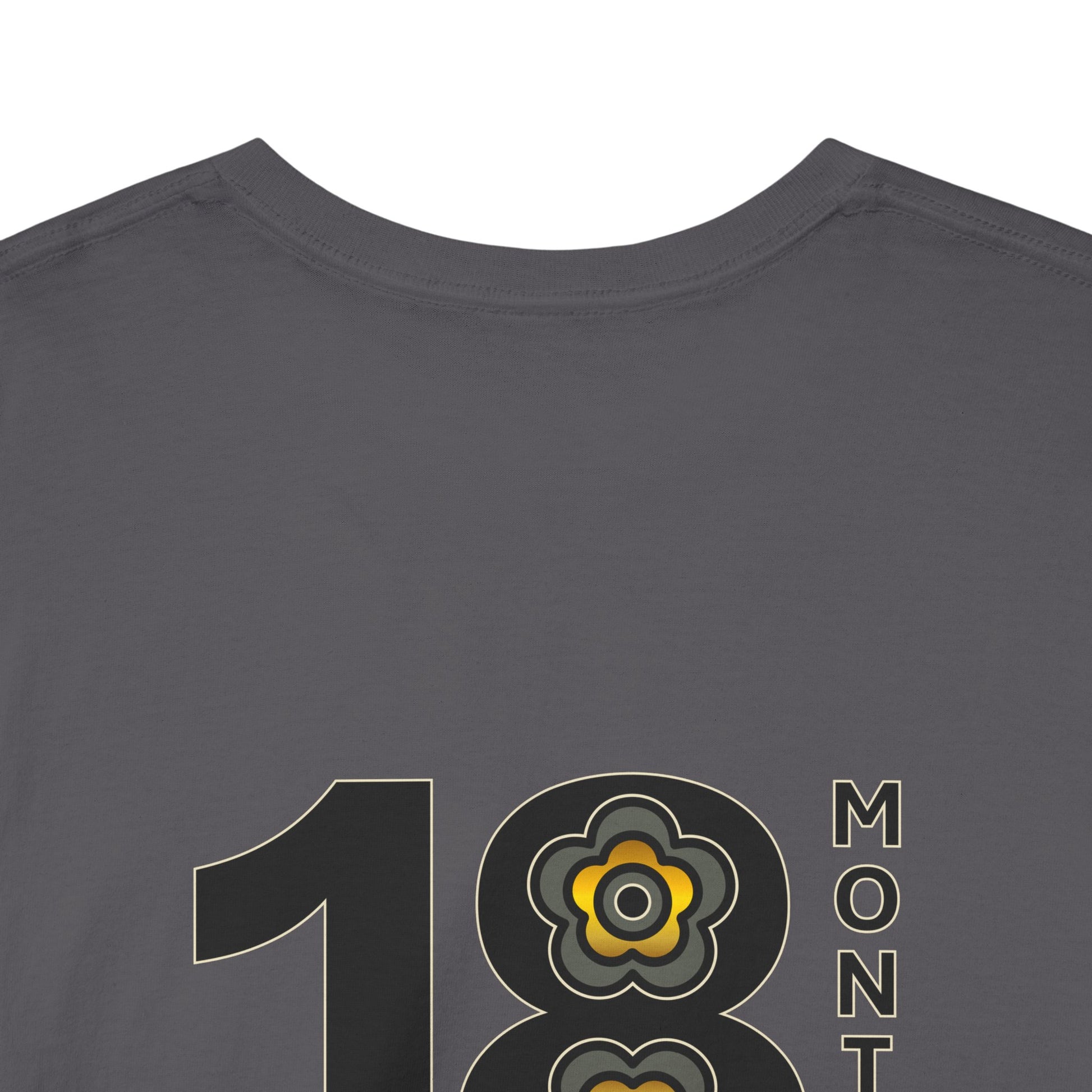 P🌺🌺P2Poppies 18 Months Sober – Motivational Recovery T-Shirt