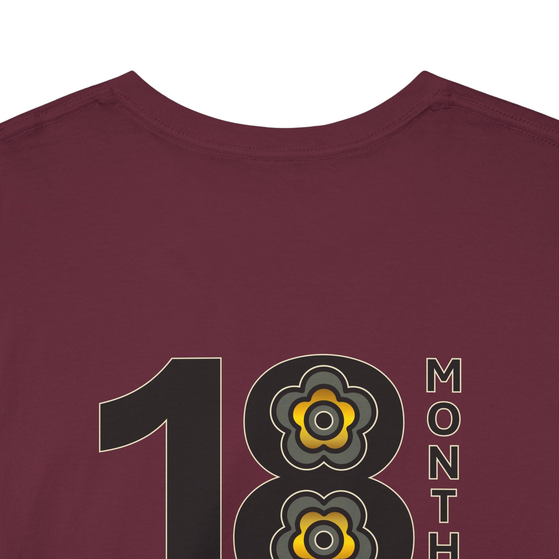 P🌺🌺P2Poppies 18 Months Sober – Motivational Recovery T-Shirt