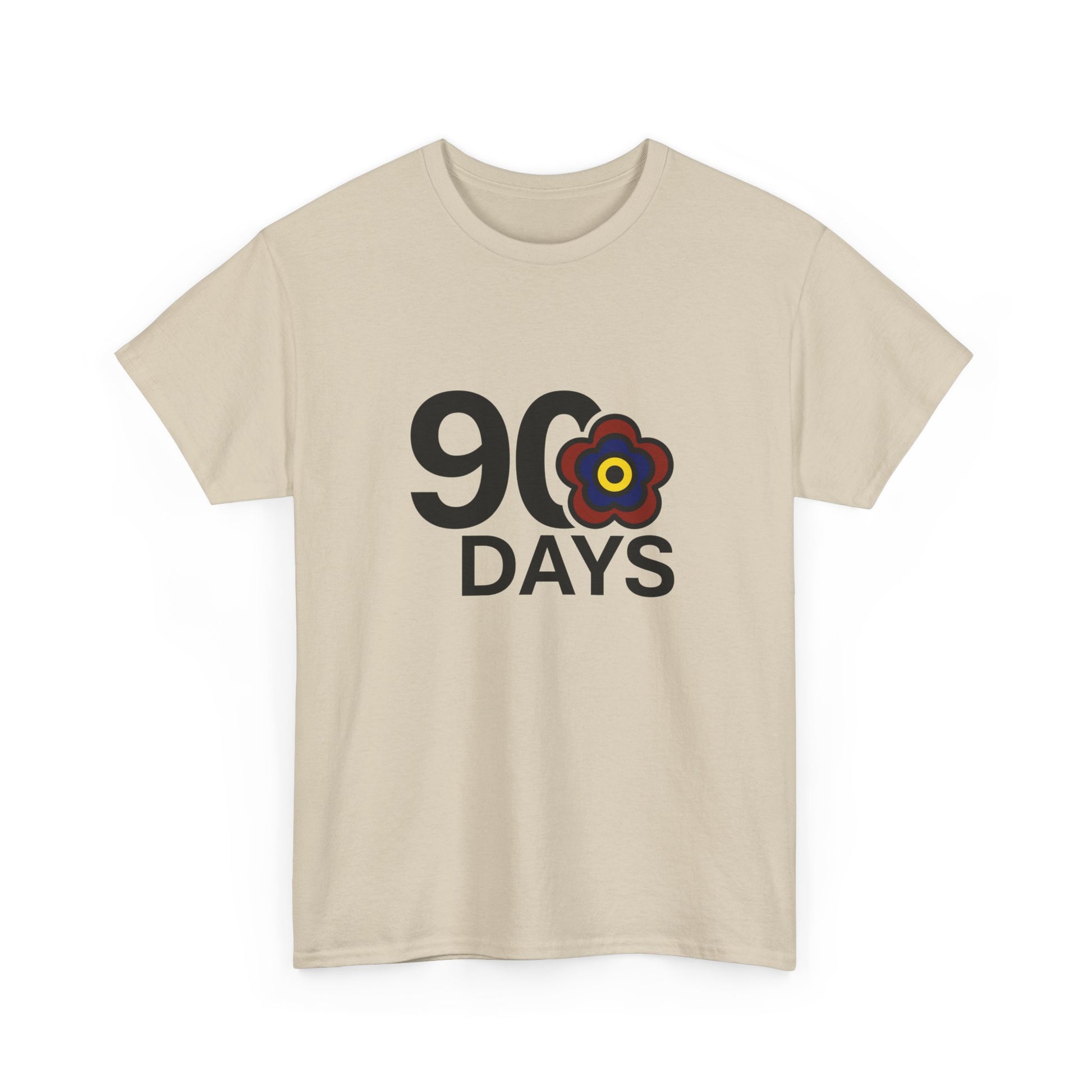 P🌺🌺P2Poppies 90 Days Sober – Motivational Recovery T-Shirt