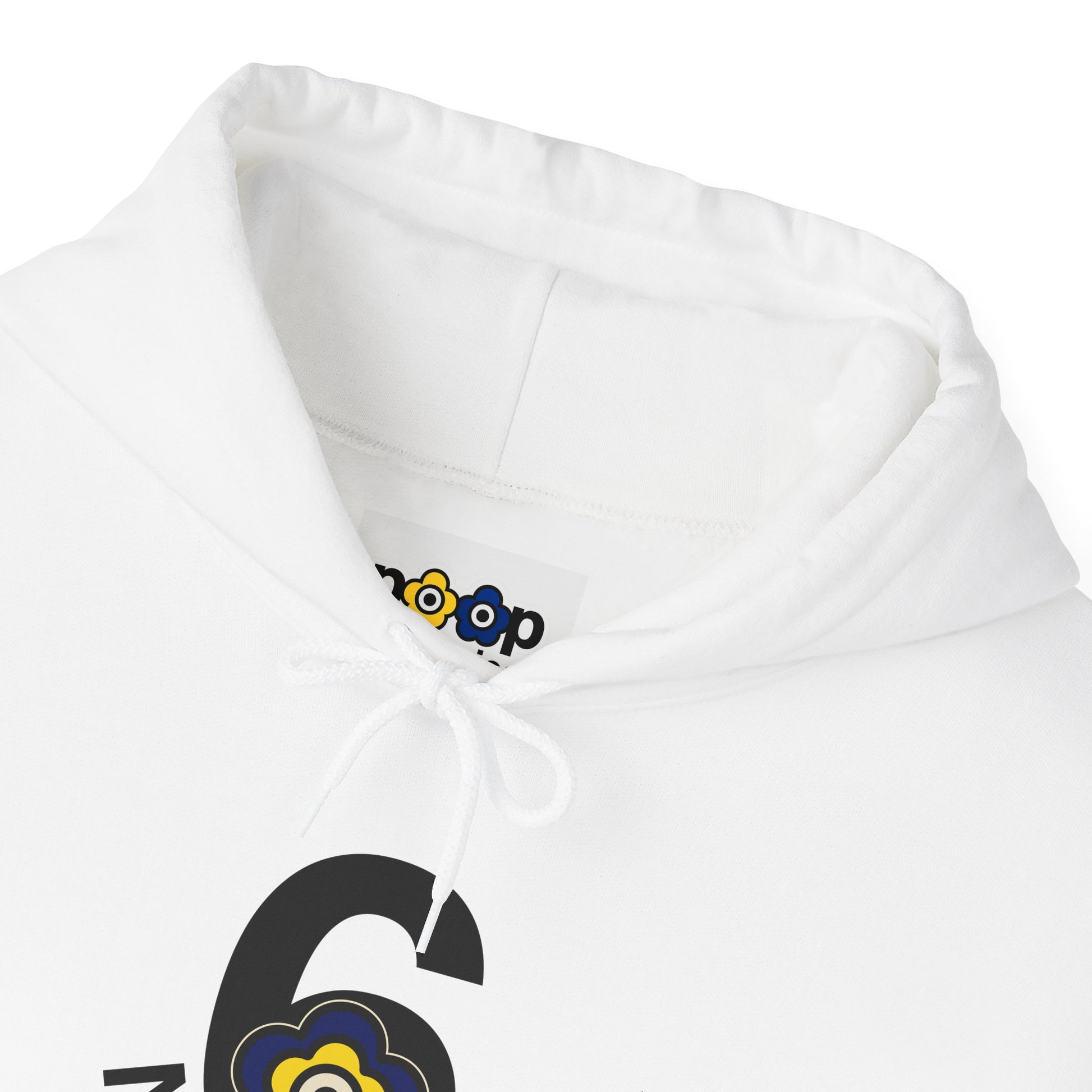 P🌺🌺P2Poppies 6 Months Sober Hoodie – Recovery Milestone Sweatshirt