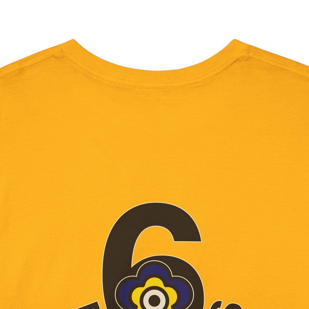 P🌺🌺P2Poppies 6 Months Sober – Motivational Recovery T-Shirt