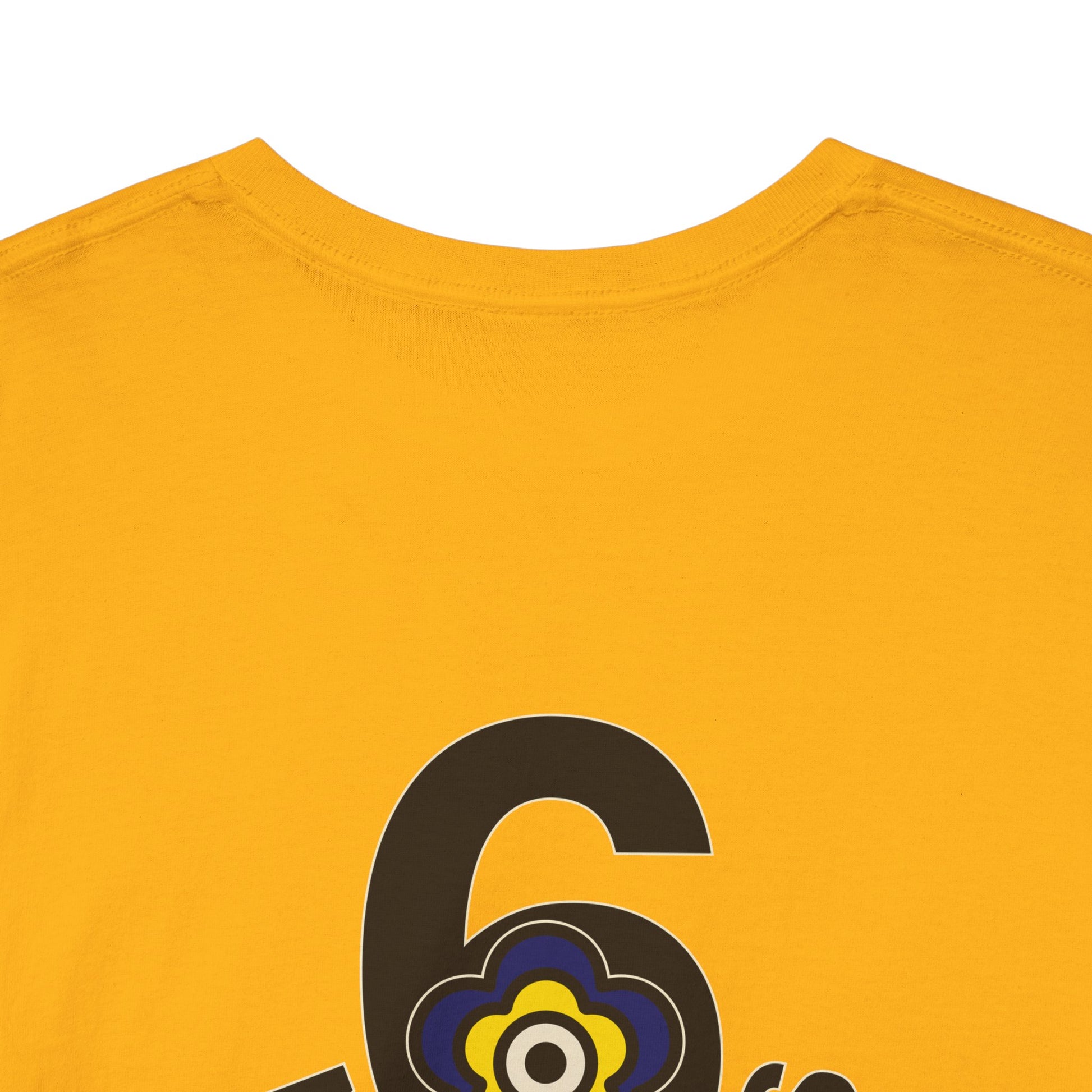 P🌺🌺P2Poppies 6 Months Sober – Motivational Recovery T-Shirt