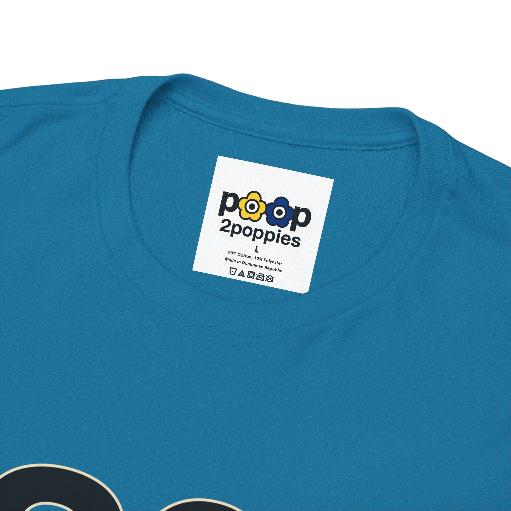 P🌺🌺P2Poppies 30 Days Sober – Motivational Recovery T-Shirt