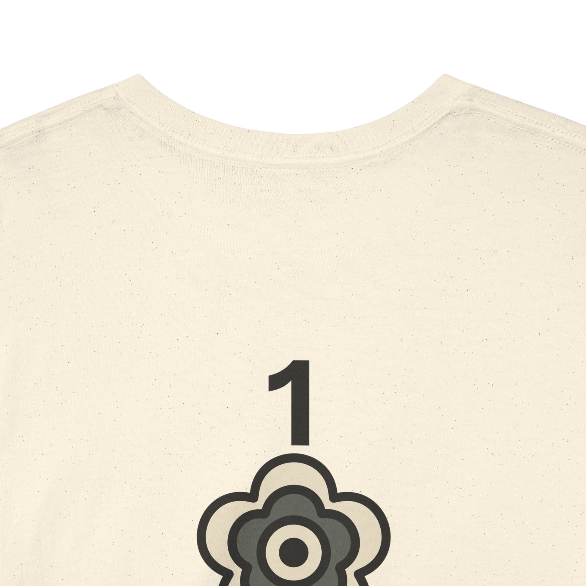 P🌺🌺P2Poppies 1 Year Sober – Motivational Recovery T-Shirt