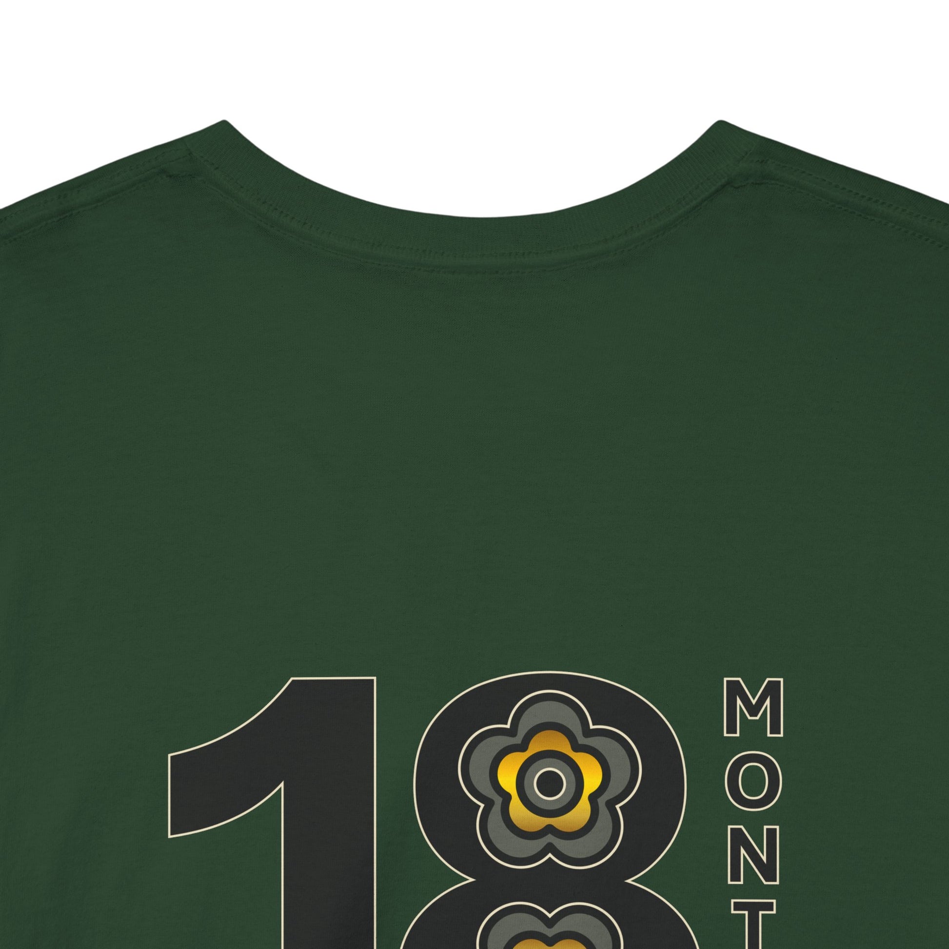 P🌺🌺P2Poppies 18 Months Sober – Motivational Recovery T-Shirt