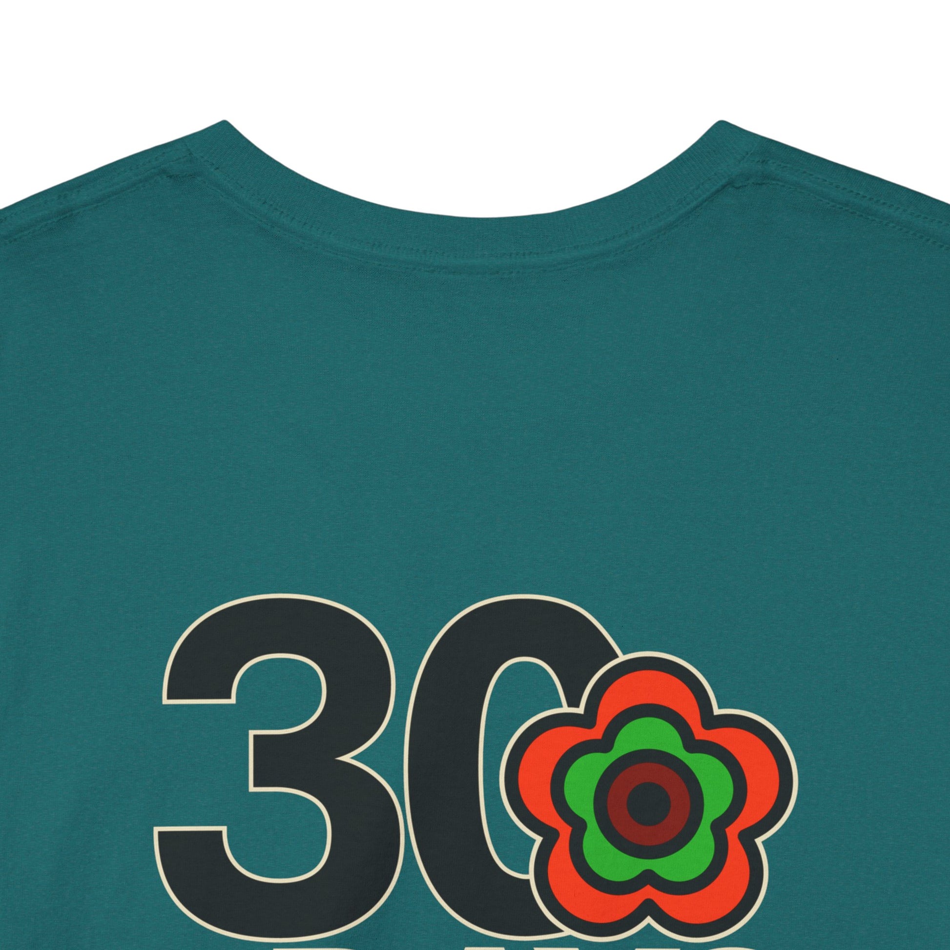 P🌺🌺P2Poppies 30 Days Sober – Motivational Recovery T-Shirt