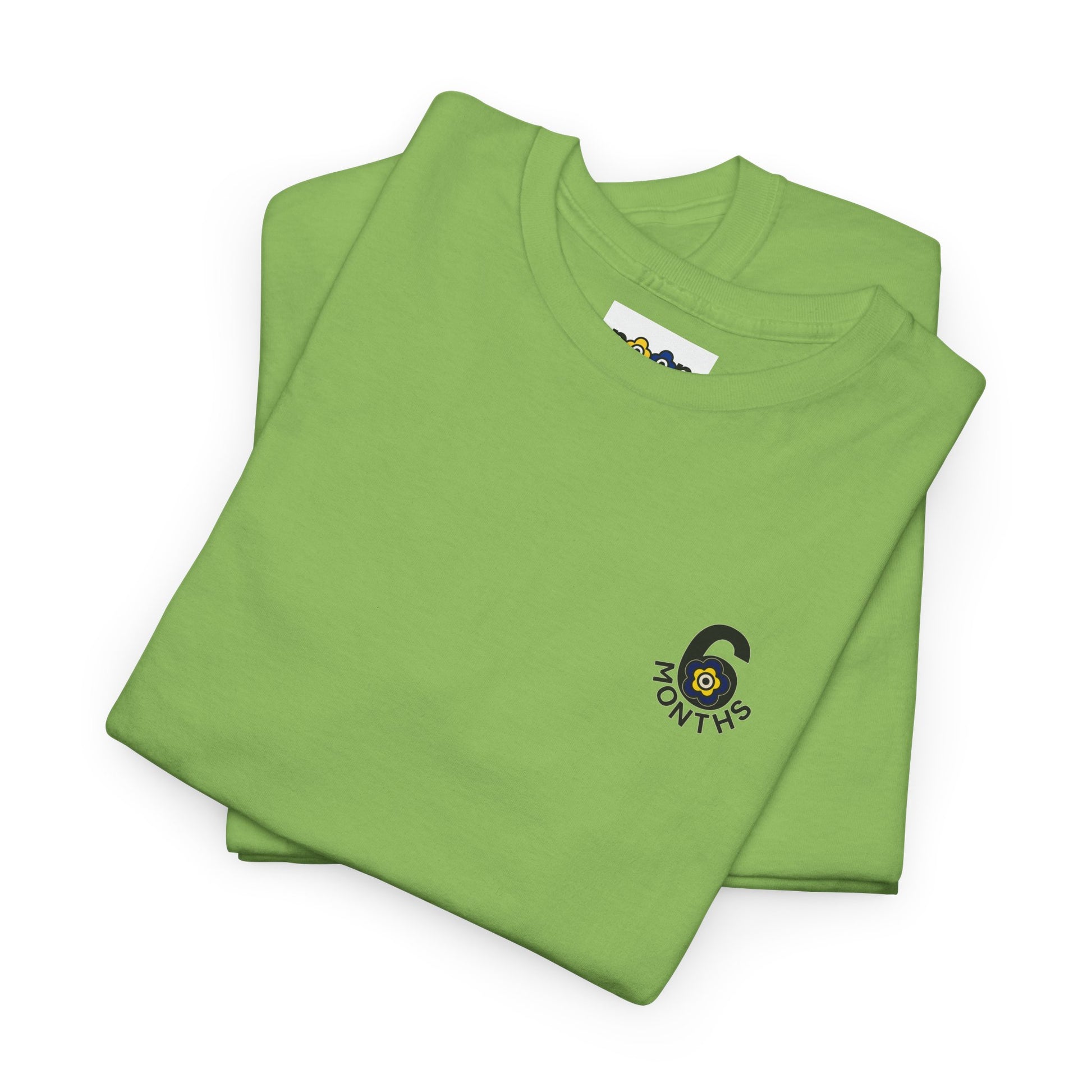 P🌺🌺P2Poppies 6 Months Sober – Motivational Recovery T-Shirt