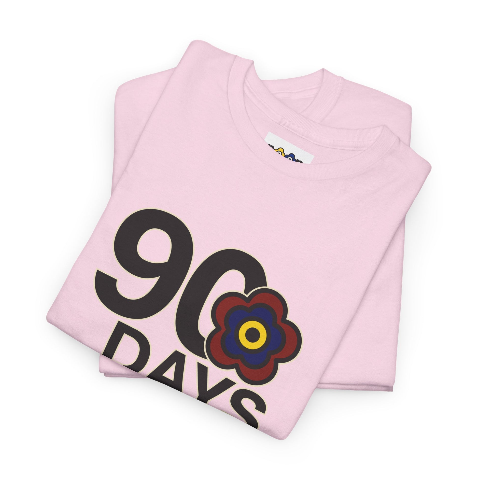 P🌺🌺P2Poppies 90 Days Sober – Motivational Recovery T-Shirt