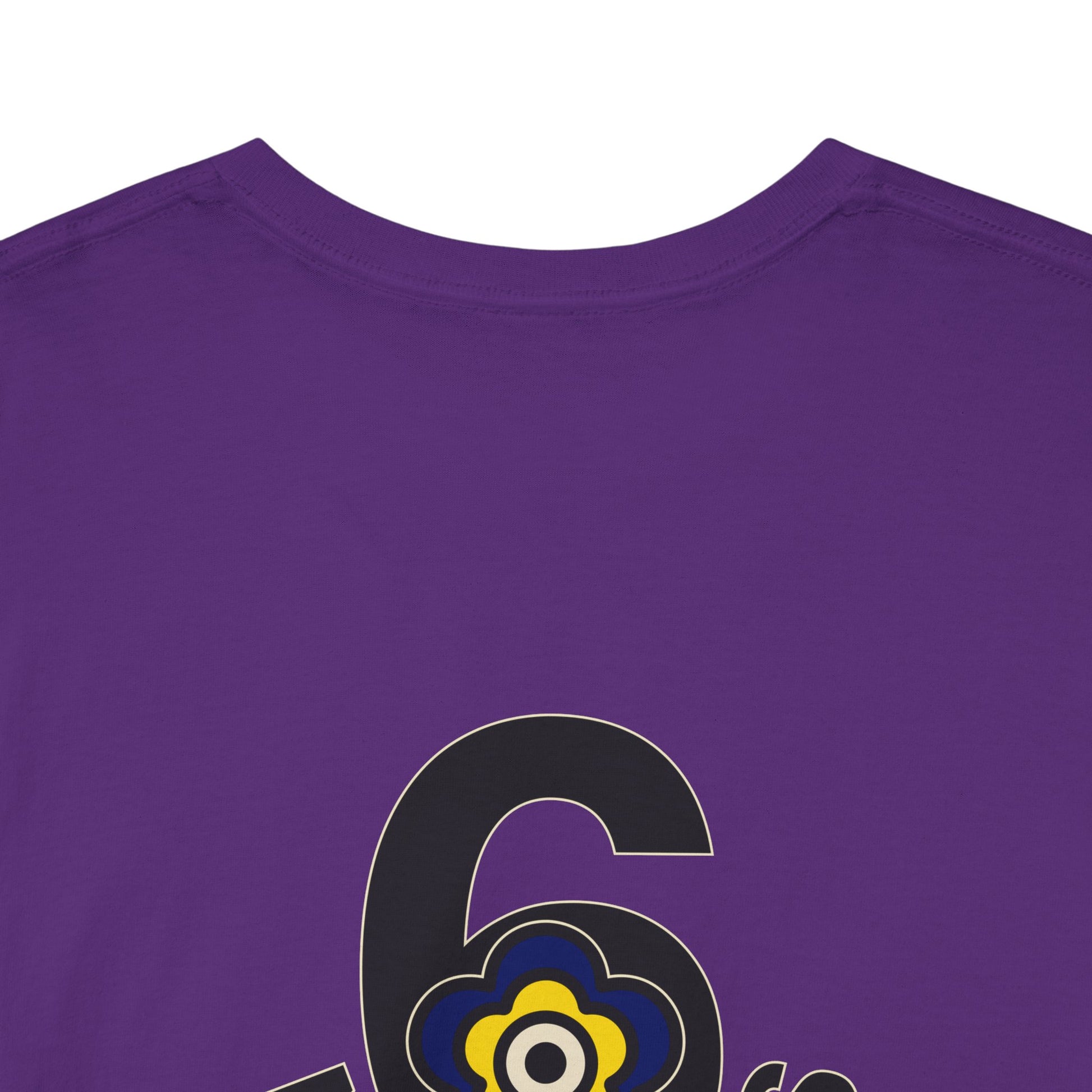 P🌺🌺P2Poppies 6 Months Sober – Motivational Recovery T-Shirt