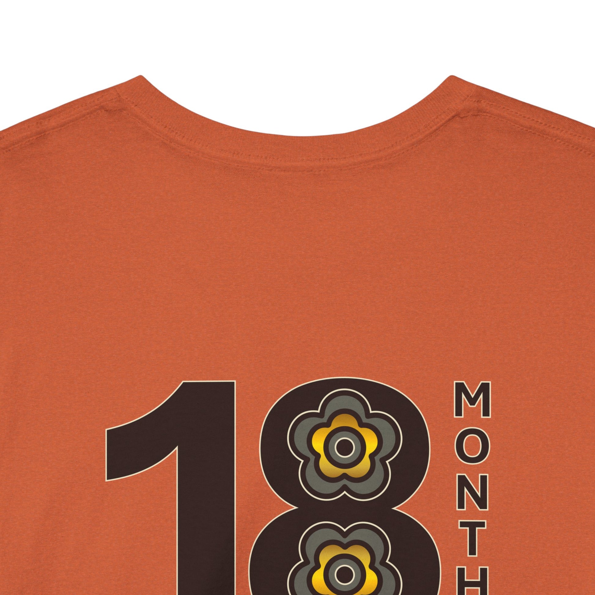 P🌺🌺P2Poppies 18 Months Sober – Motivational Recovery T-Shirt