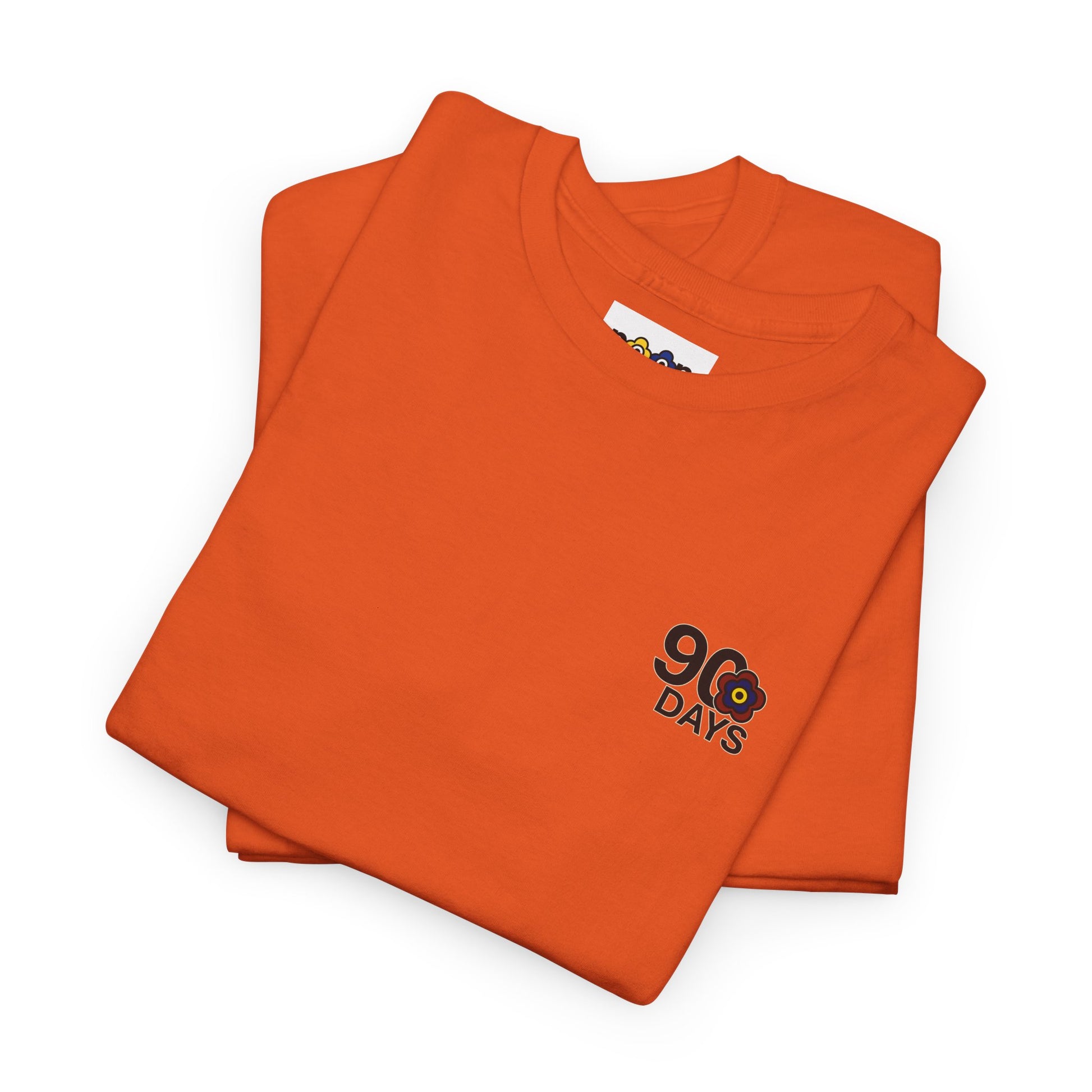 P🌺🌺P2Poppies 90 Days Sober – Motivational Recovery T-Shirt