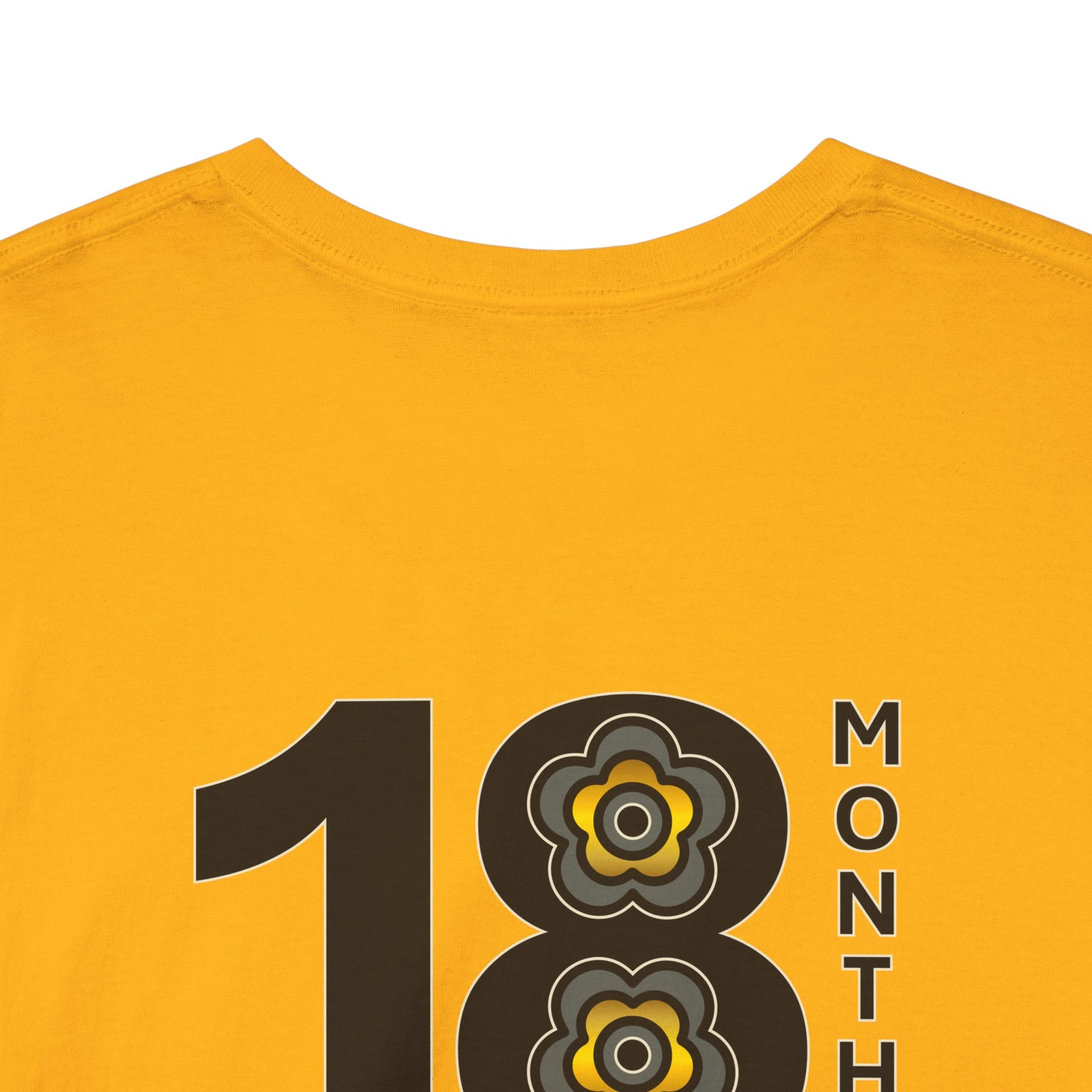 P🌺🌺P2Poppies 18 Months Sober – Motivational Recovery T-Shirt