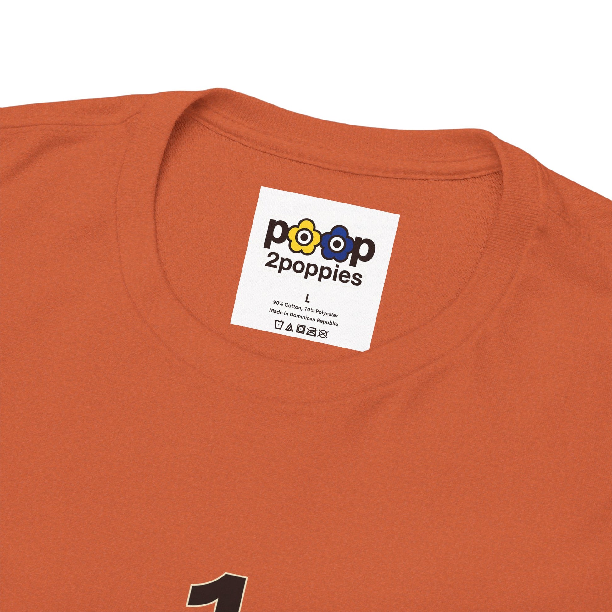 P🌺🌺P2Poppies 1 Year Sober – Motivational Recovery T-Shirt