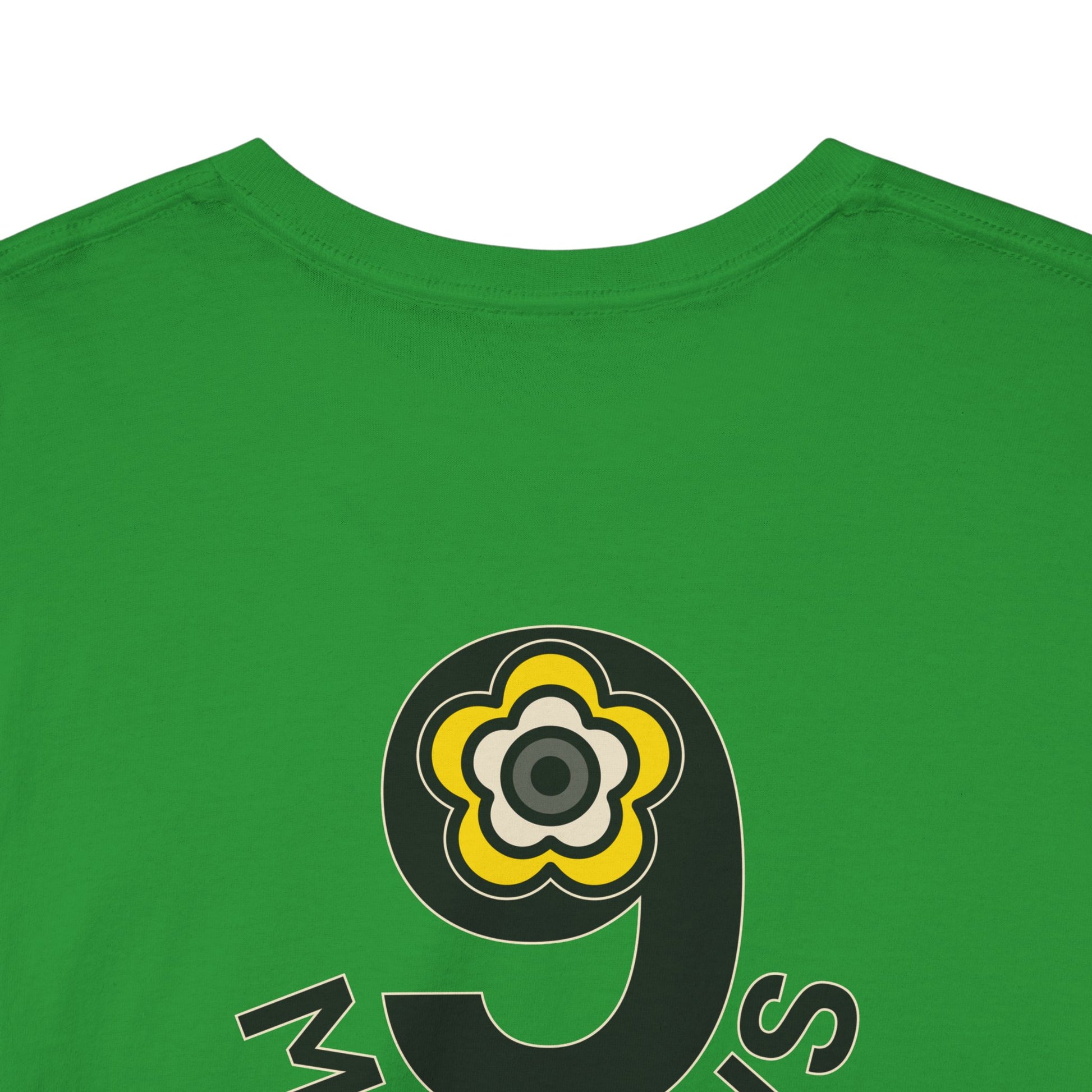 P🌺🌺P2Poppies 9 Months Sober – Motivational Recovery T-Shirt