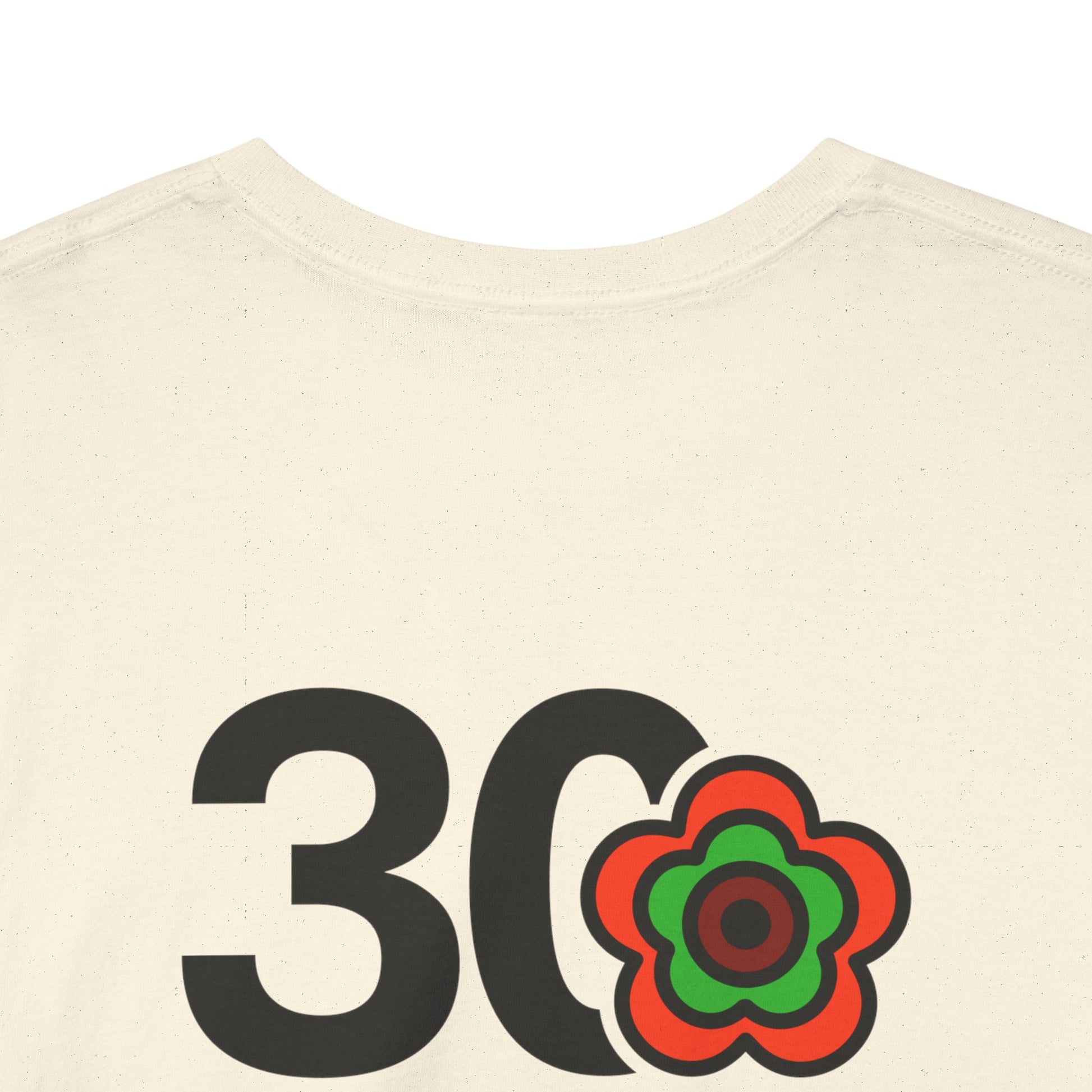 P🌺🌺P2Poppies 30 Days Sober – Motivational Recovery T-Shirt