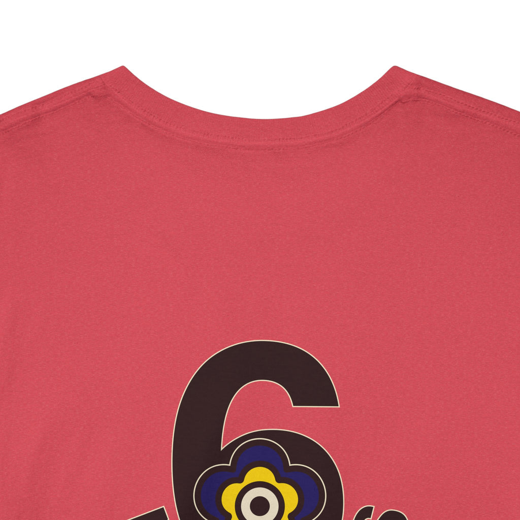 P🌺🌺P2Poppies 6 Months Sober – Motivational Recovery T-Shirt