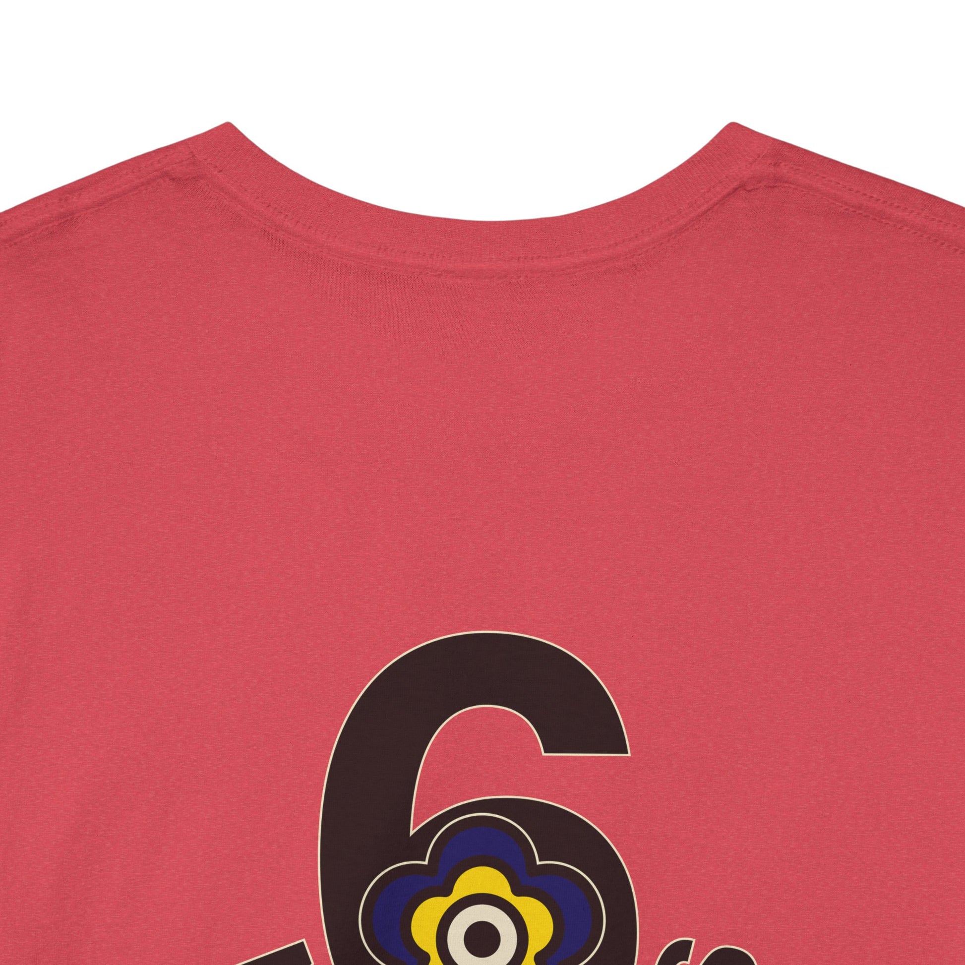 P🌺🌺P2Poppies 6 Months Sober – Motivational Recovery T-Shirt