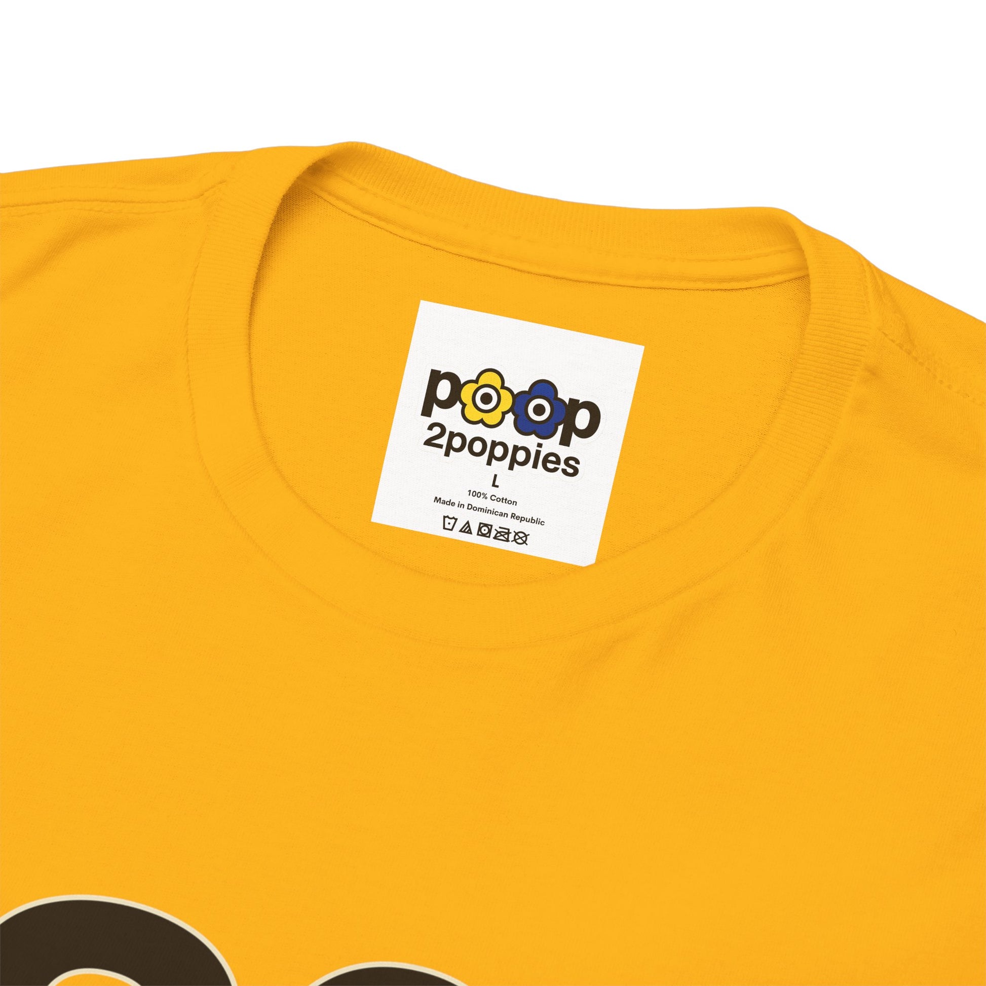 P🌺🌺P2Poppies 30 Days Sober – Motivational Recovery T-Shirt