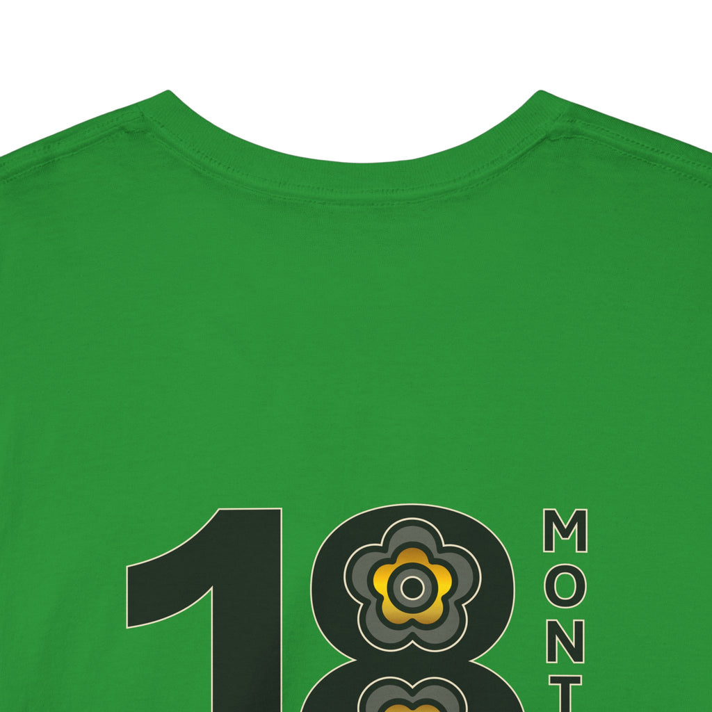 P🌺🌺P2Poppies 18 Months Sober – Motivational Recovery T-Shirt