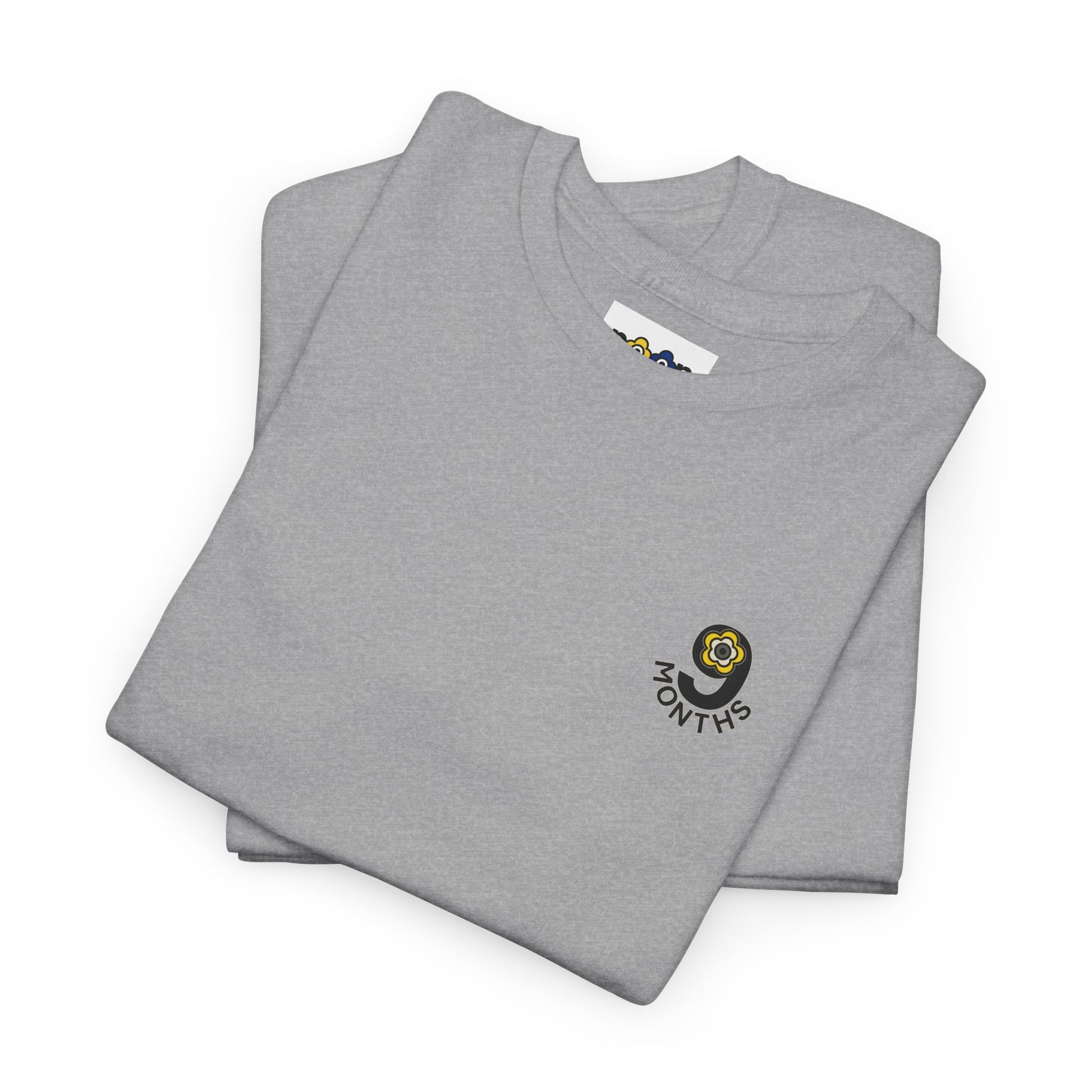 P🌺🌺P2Poppies 9 Months Sober – Motivational Recovery T-Shirt