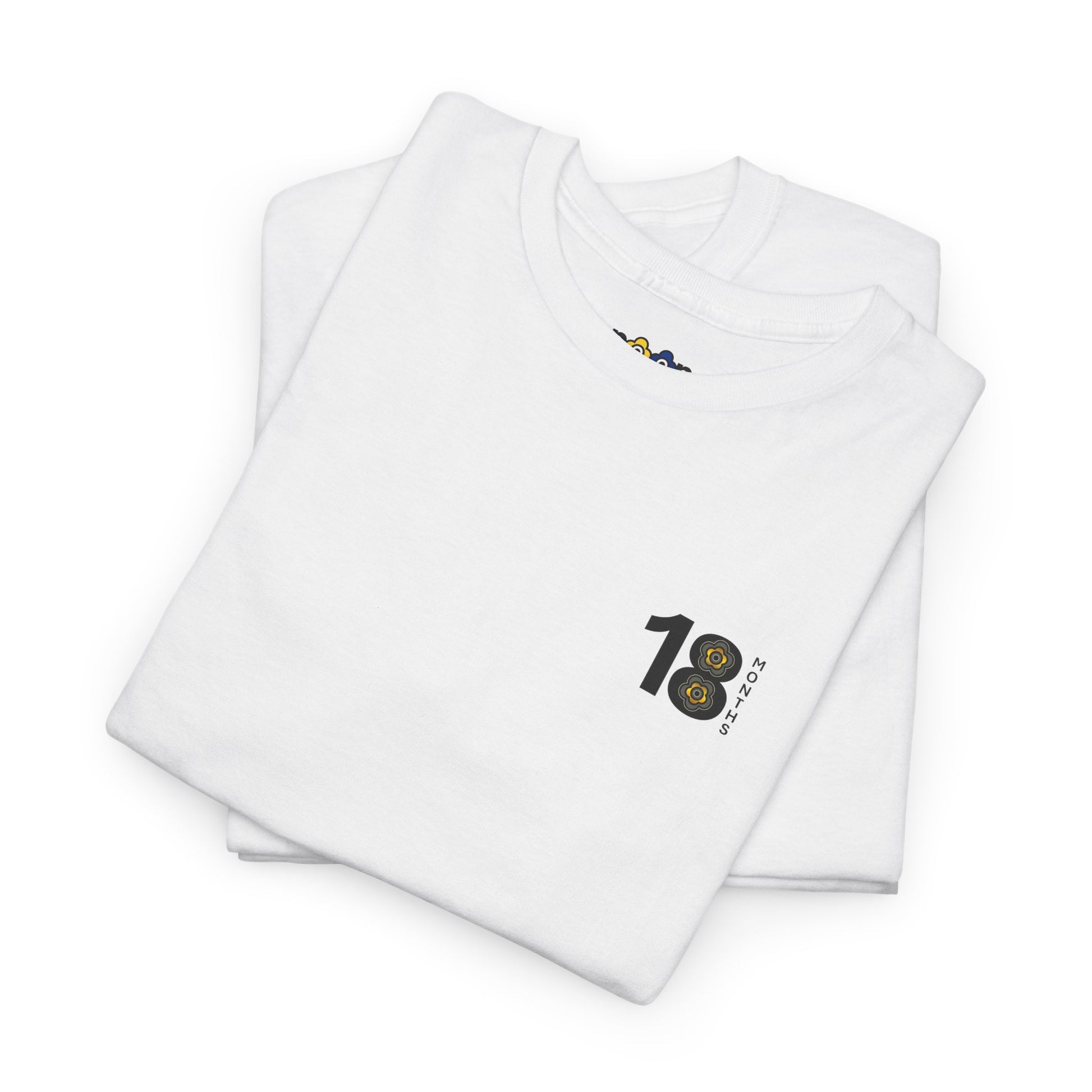 P🌺🌺P2Poppies 18 Months Sober – Motivational Recovery T-Shirt