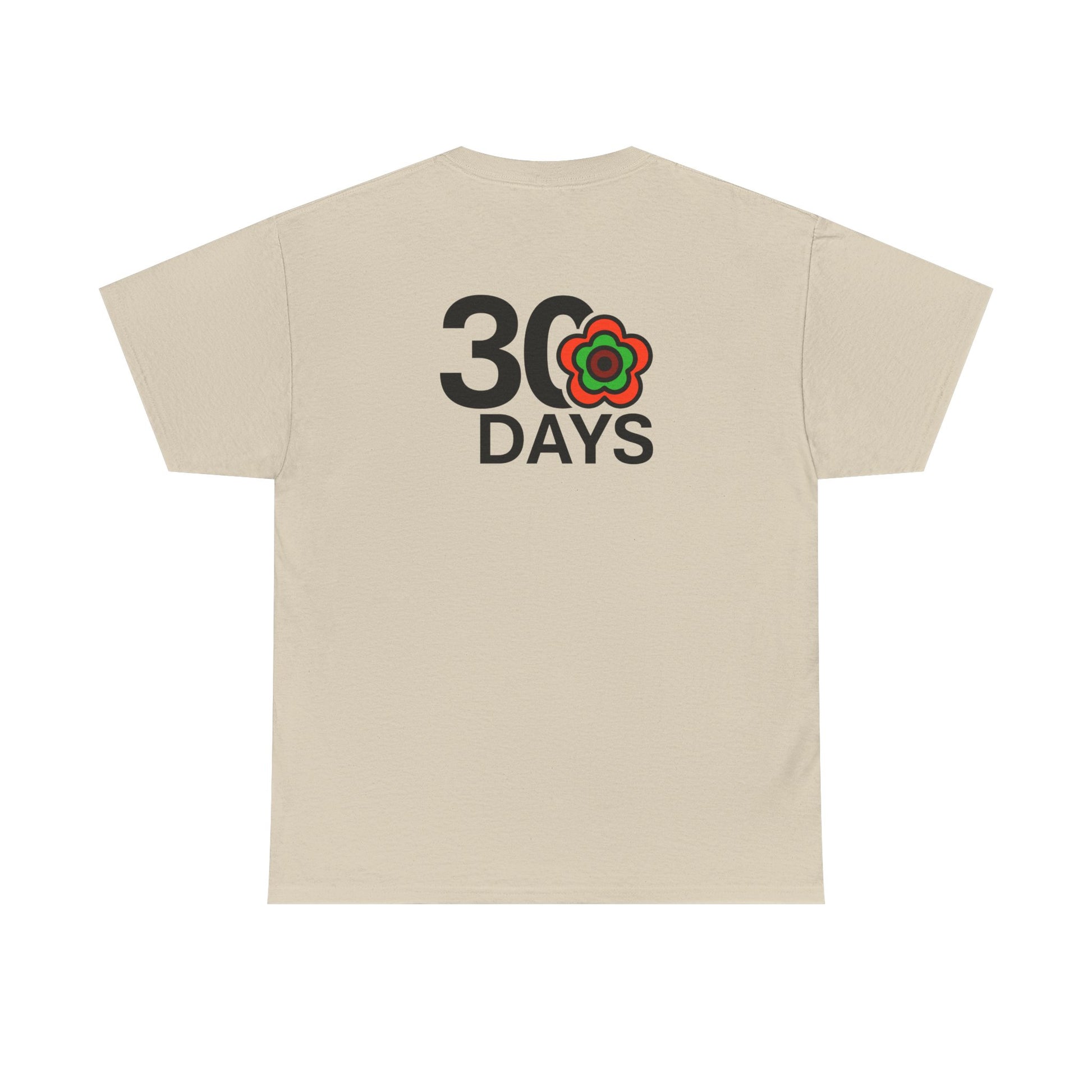 P🌺🌺P2Poppies 30 Days Sober – Motivational Recovery T-Shirt