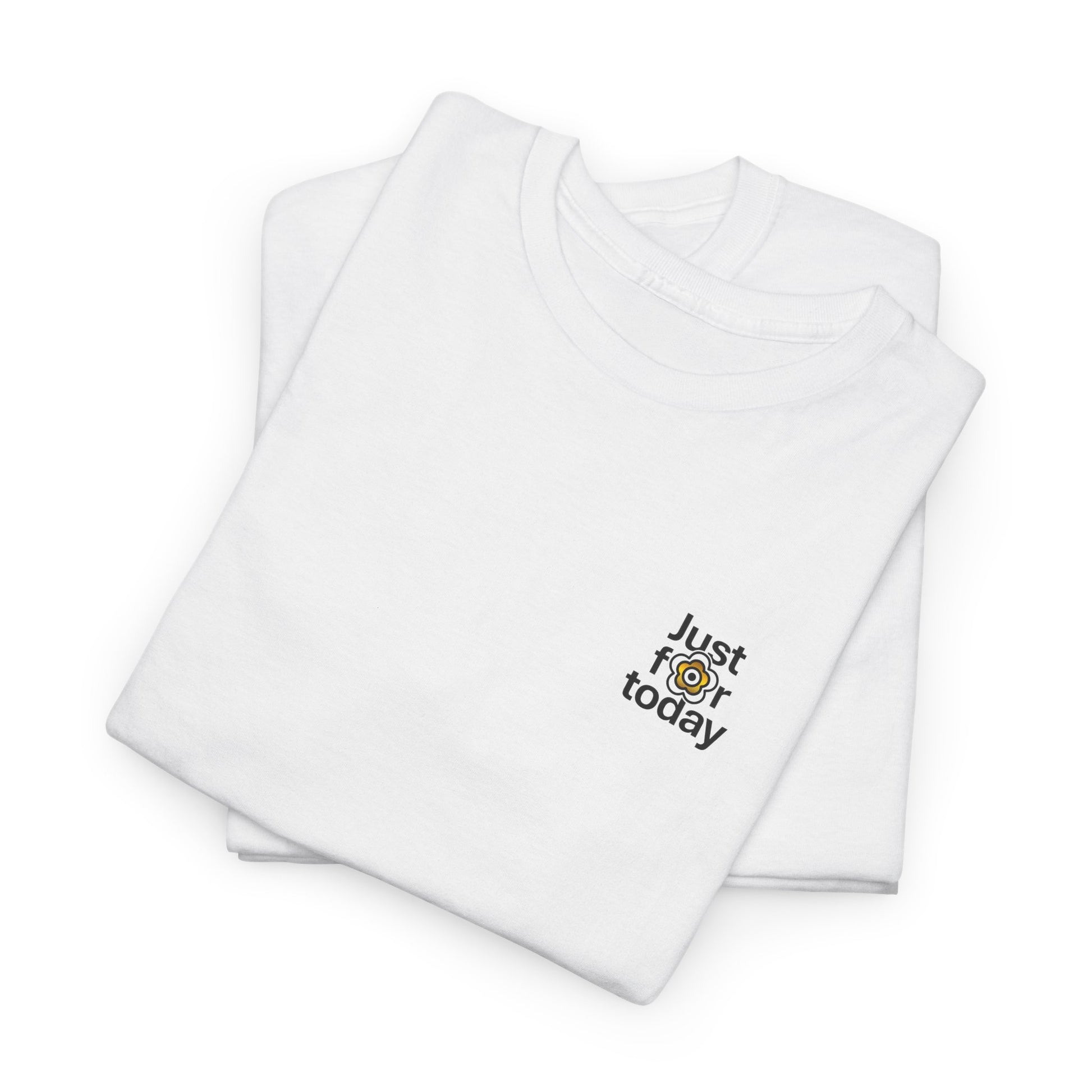 P🌺🌺P2Poppies Just for Today – Motivational Recovery T-Shirt