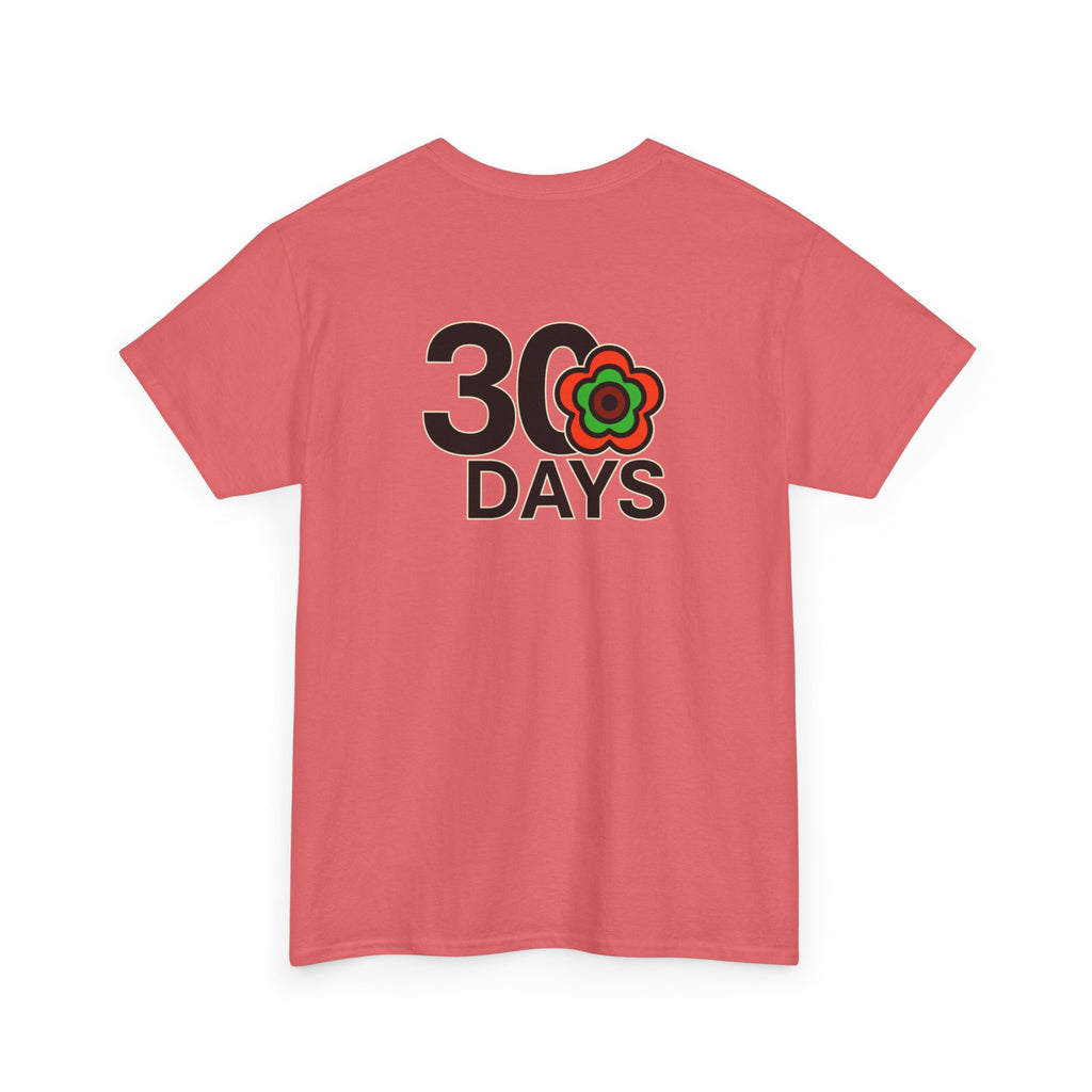 P🌺🌺P2Poppies 30 Days Sober – Motivational Recovery T-Shirt