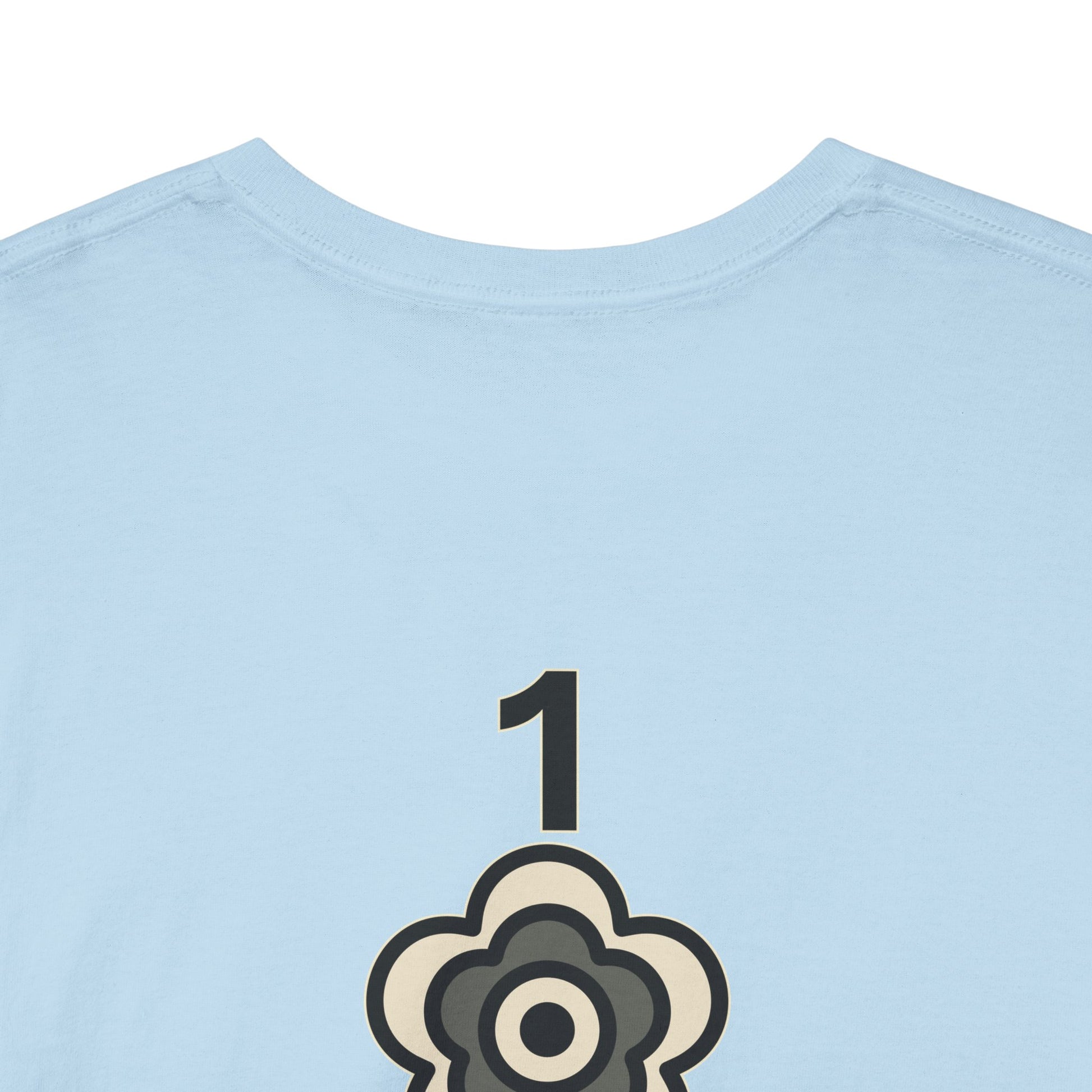 P🌺🌺P2Poppies 1 Year Sober – Motivational Recovery T-Shirt