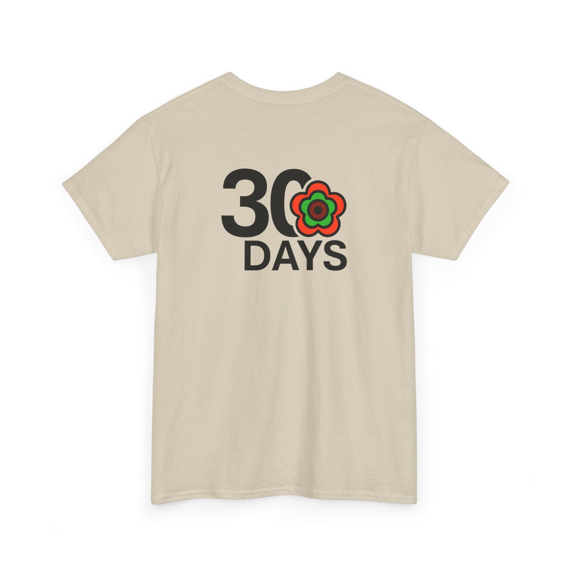 P🌺🌺P2Poppies 30 Days Sober – Motivational Recovery T-Shirt