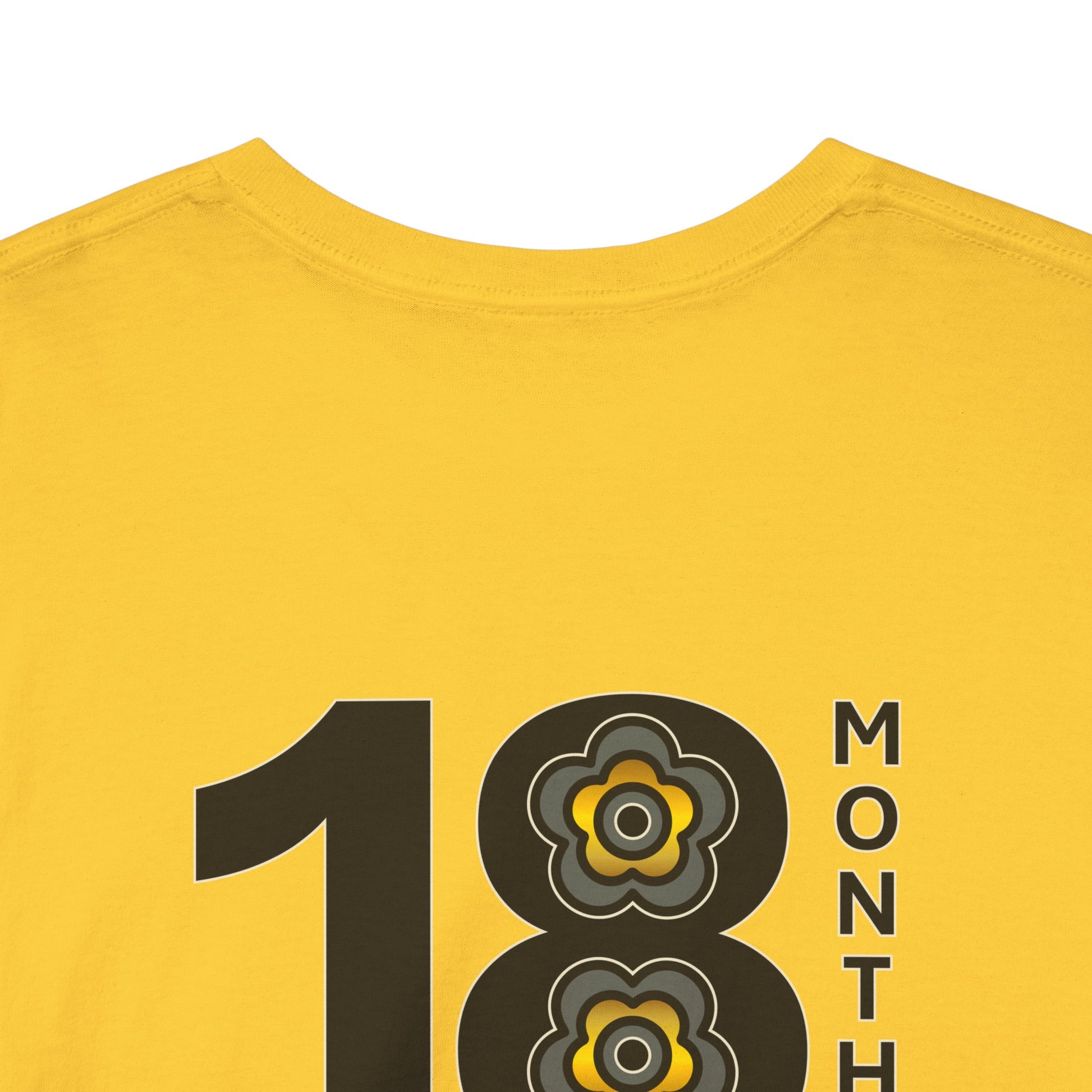 P🌺🌺P2Poppies 18 Months Sober – Motivational Recovery T-Shirt