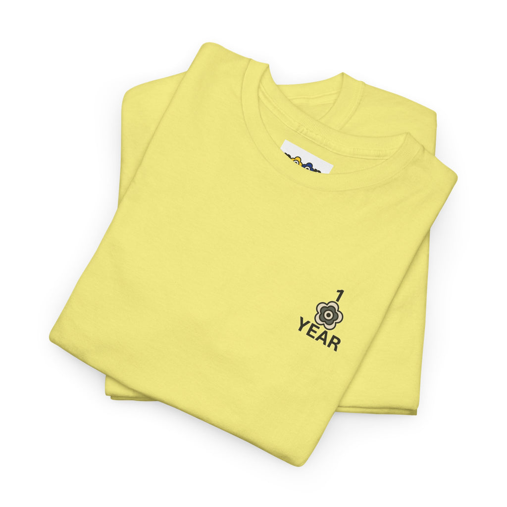 P🌺🌺P2Poppies 1 Year Sober – Motivational Recovery T-Shirt