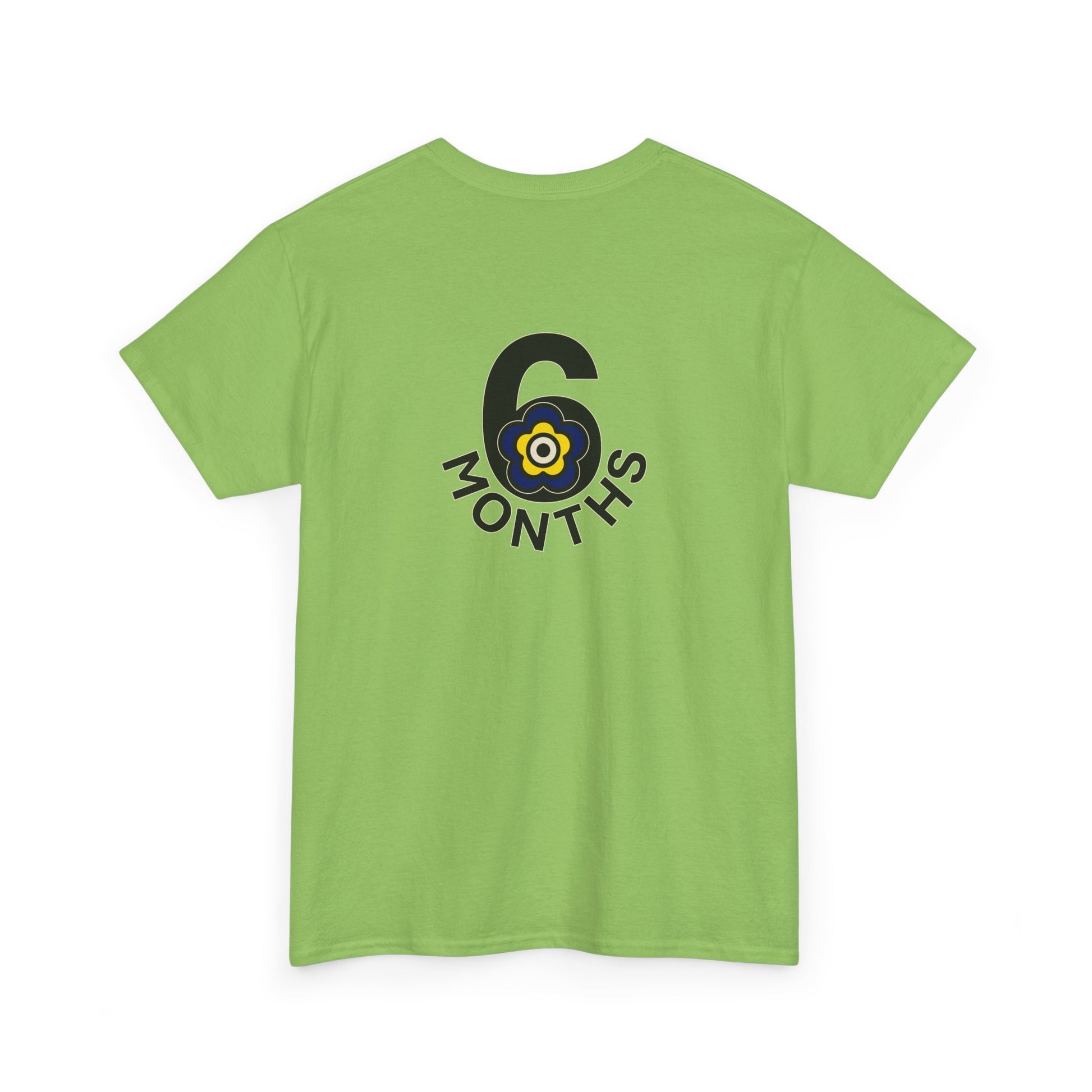 P🌺🌺P2Poppies 6 Months Sober – Motivational Recovery T-Shirt