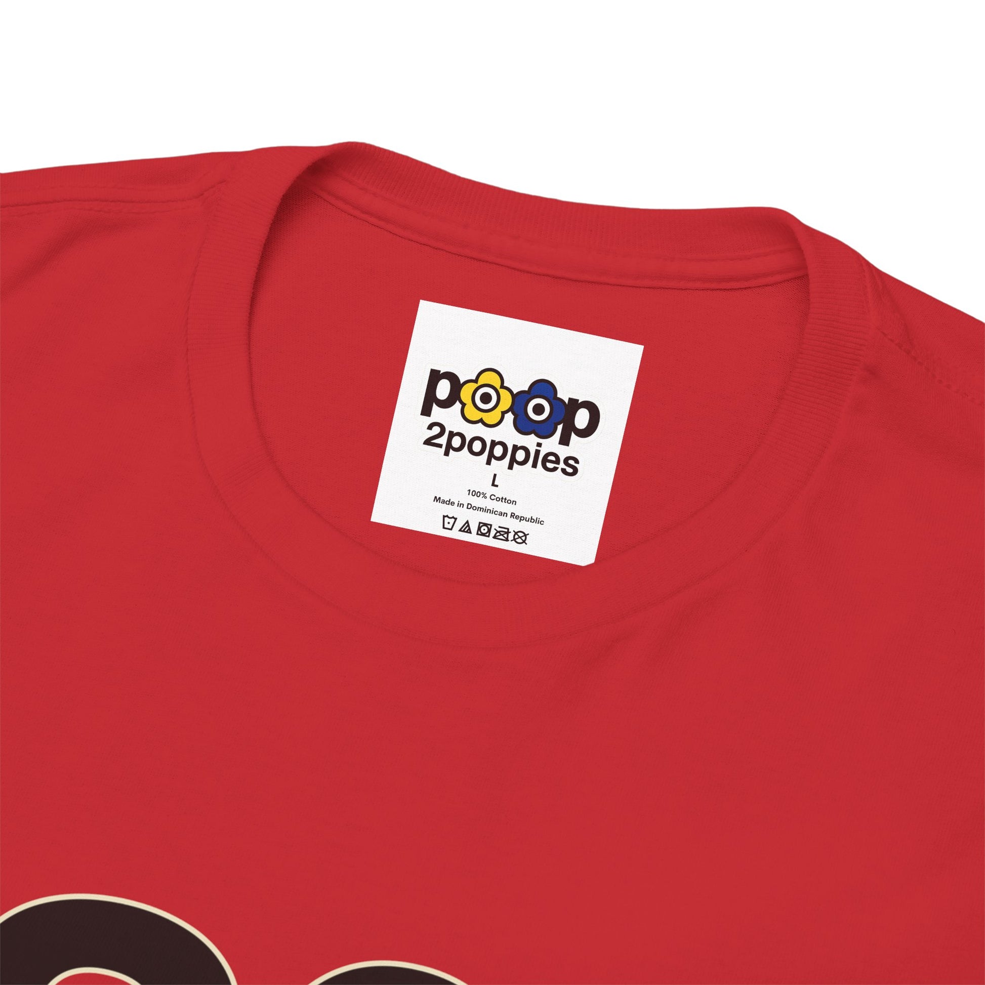 P🌺🌺P2Poppies 30 Days Sober – Motivational Recovery T-Shirt