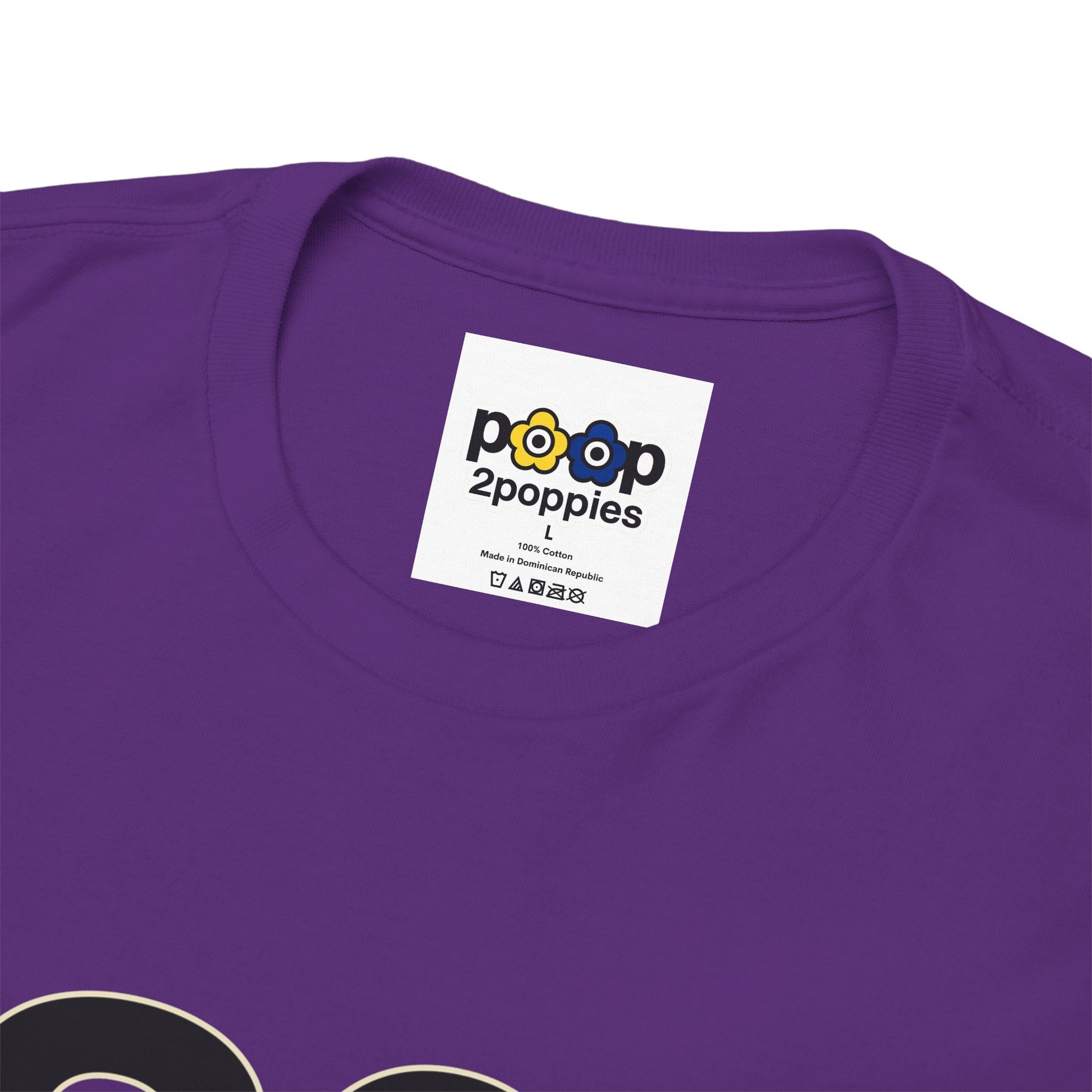 P🌺🌺P2Poppies 30 Days Sober – Motivational Recovery T-Shirt