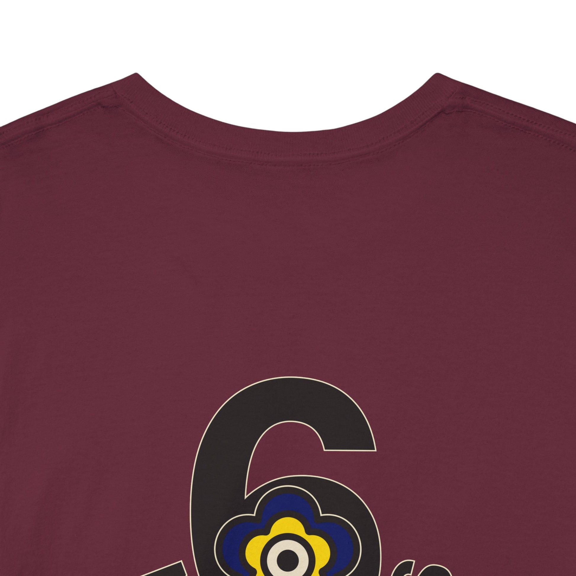 P🌺🌺P2Poppies 6 Months Sober – Motivational Recovery T-Shirt