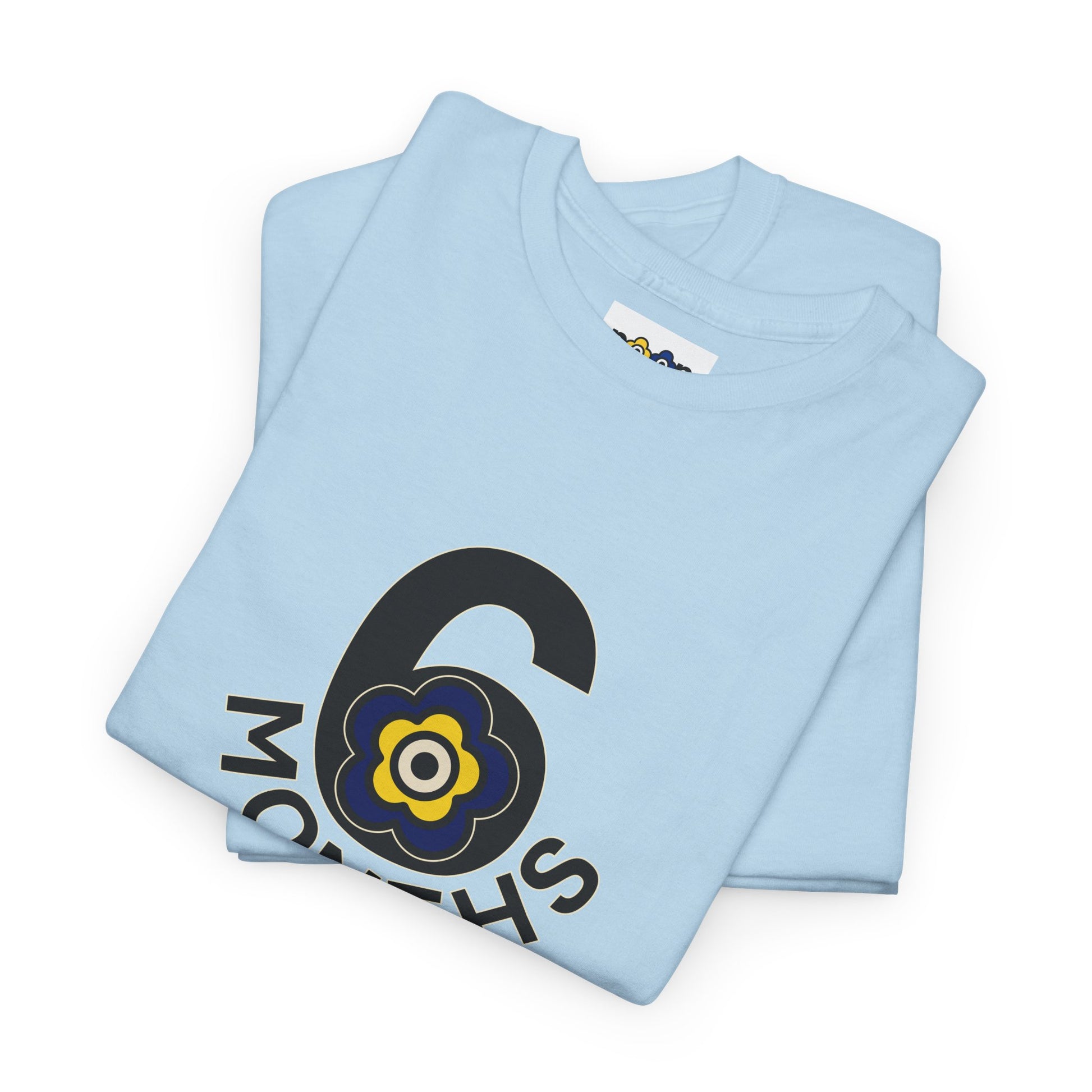 P🌺🌺P2Poppies 6 Months Sober – Motivational Recovery T-Shirt