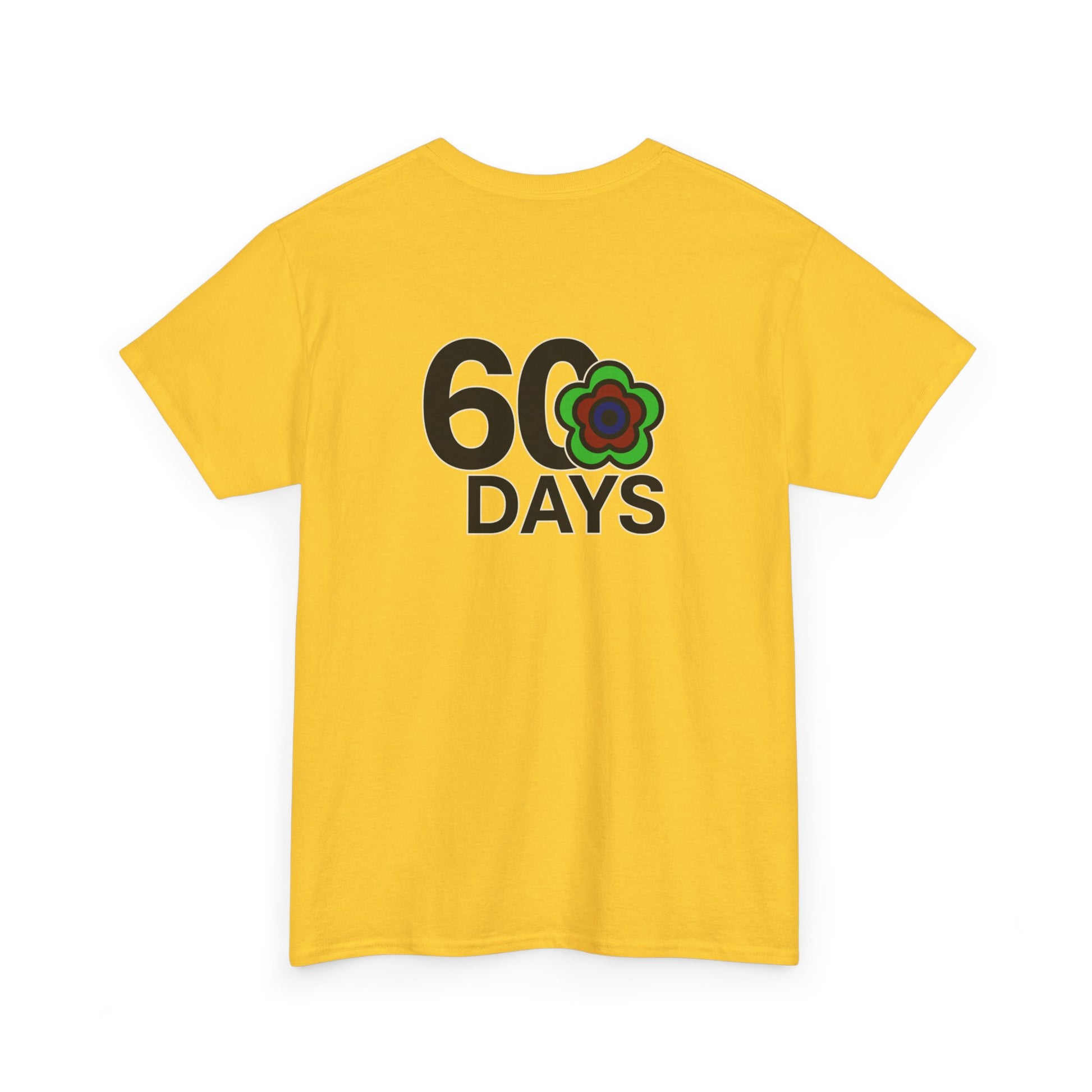 P🌺🌺P2Poppies 60 Days Sober – Motivational Recovery T-Shirt